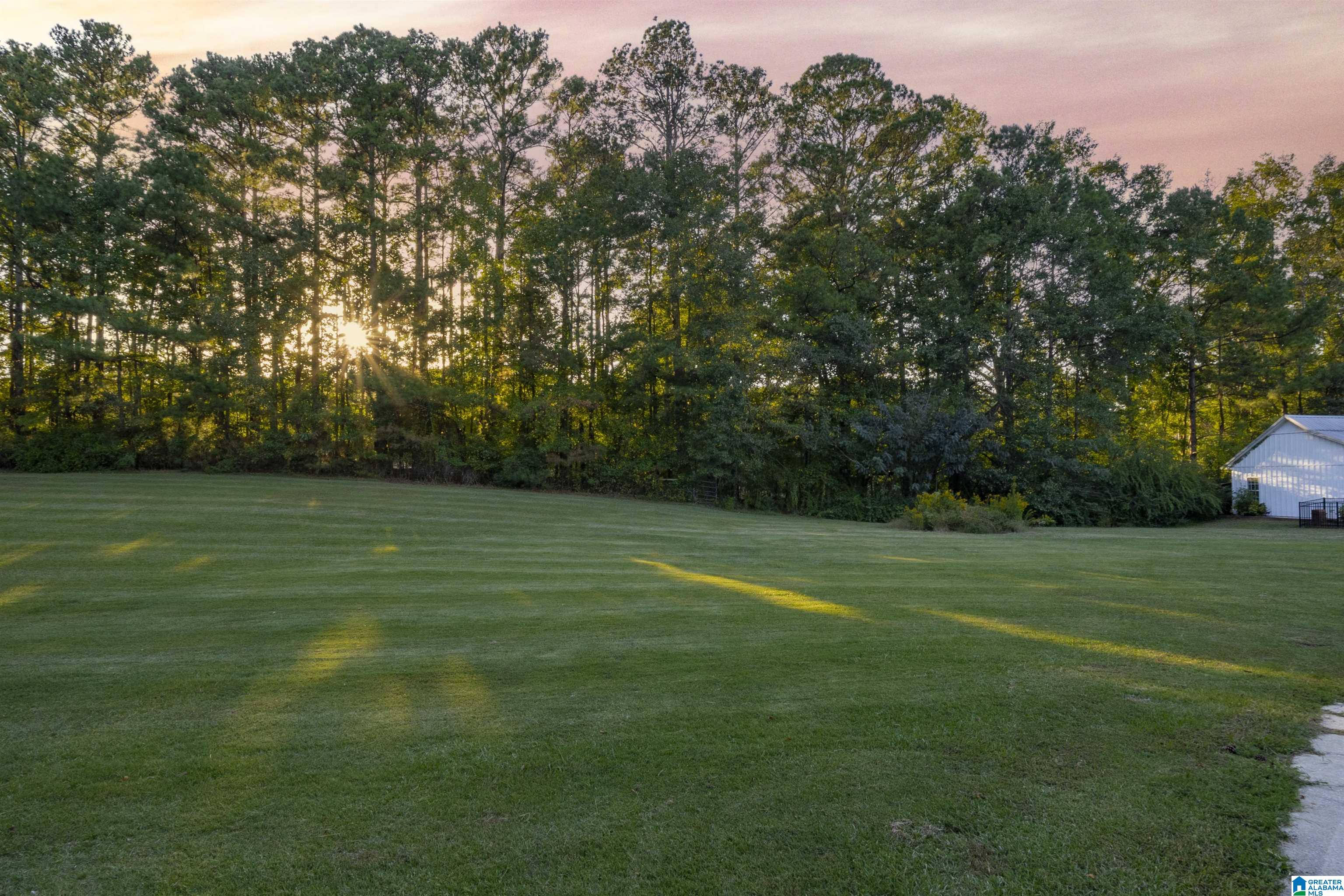 1326 Highway 36 Chelsea, AL 35043 - Photo 44 of 55