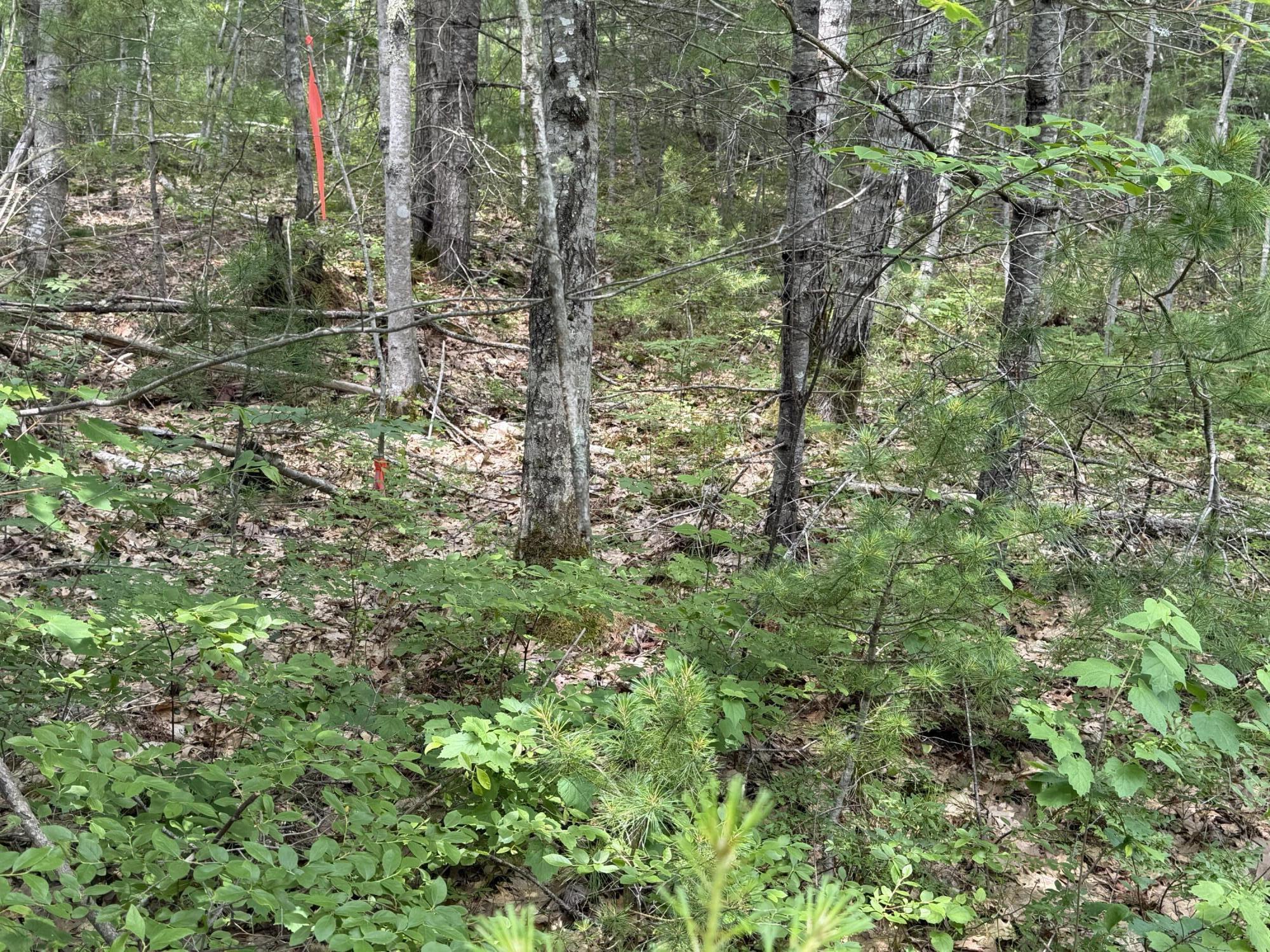 Lot 068011 Shore Road Bremen, ME 04551 - Photo 2 of 4 Lot 068011 Shore Road, Bremen