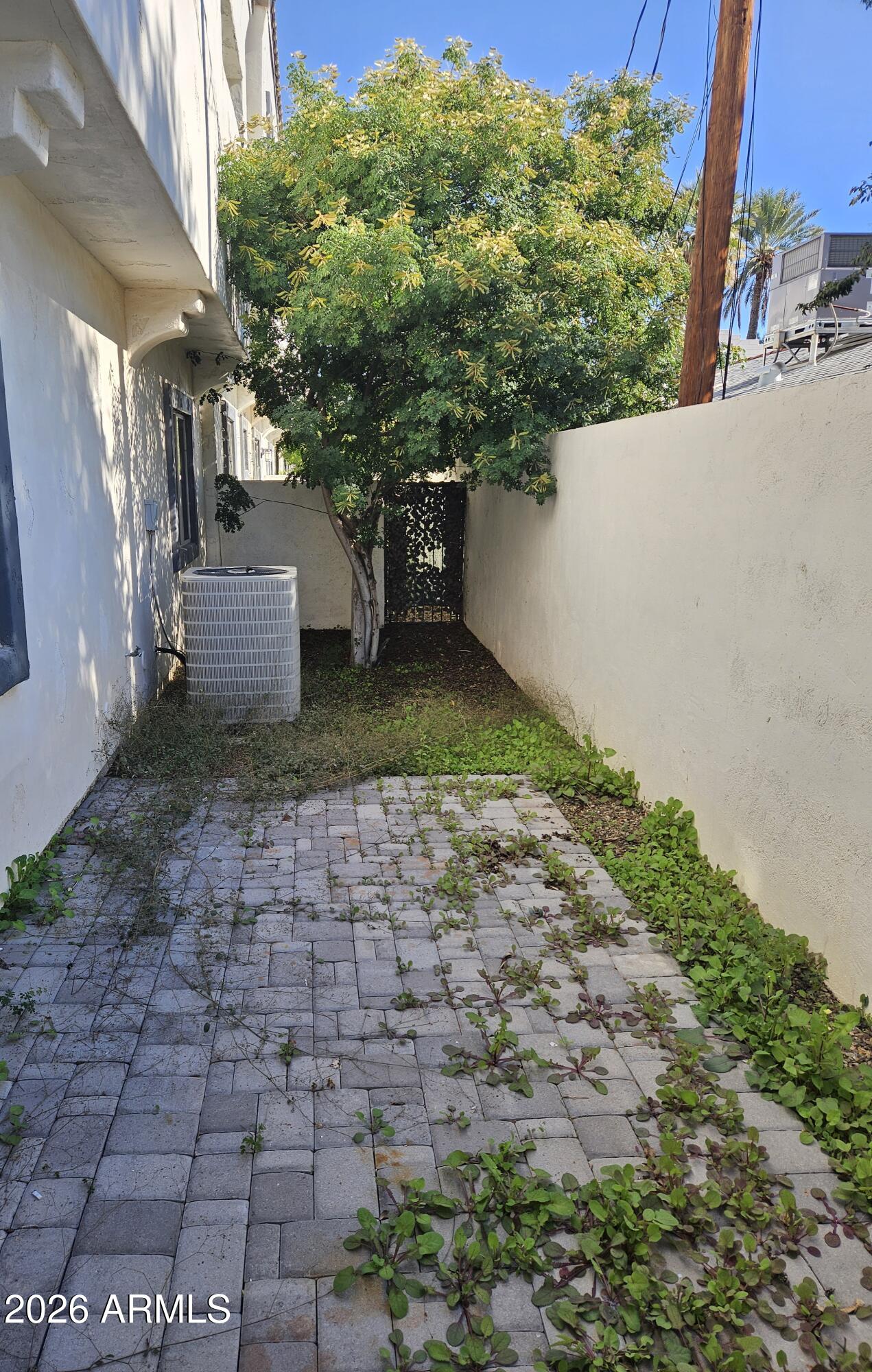 4113 North 22nd Street, Unit 5 Phoenix, AZ 85016 - Photo 60 of 60 a view of a back yard of the house