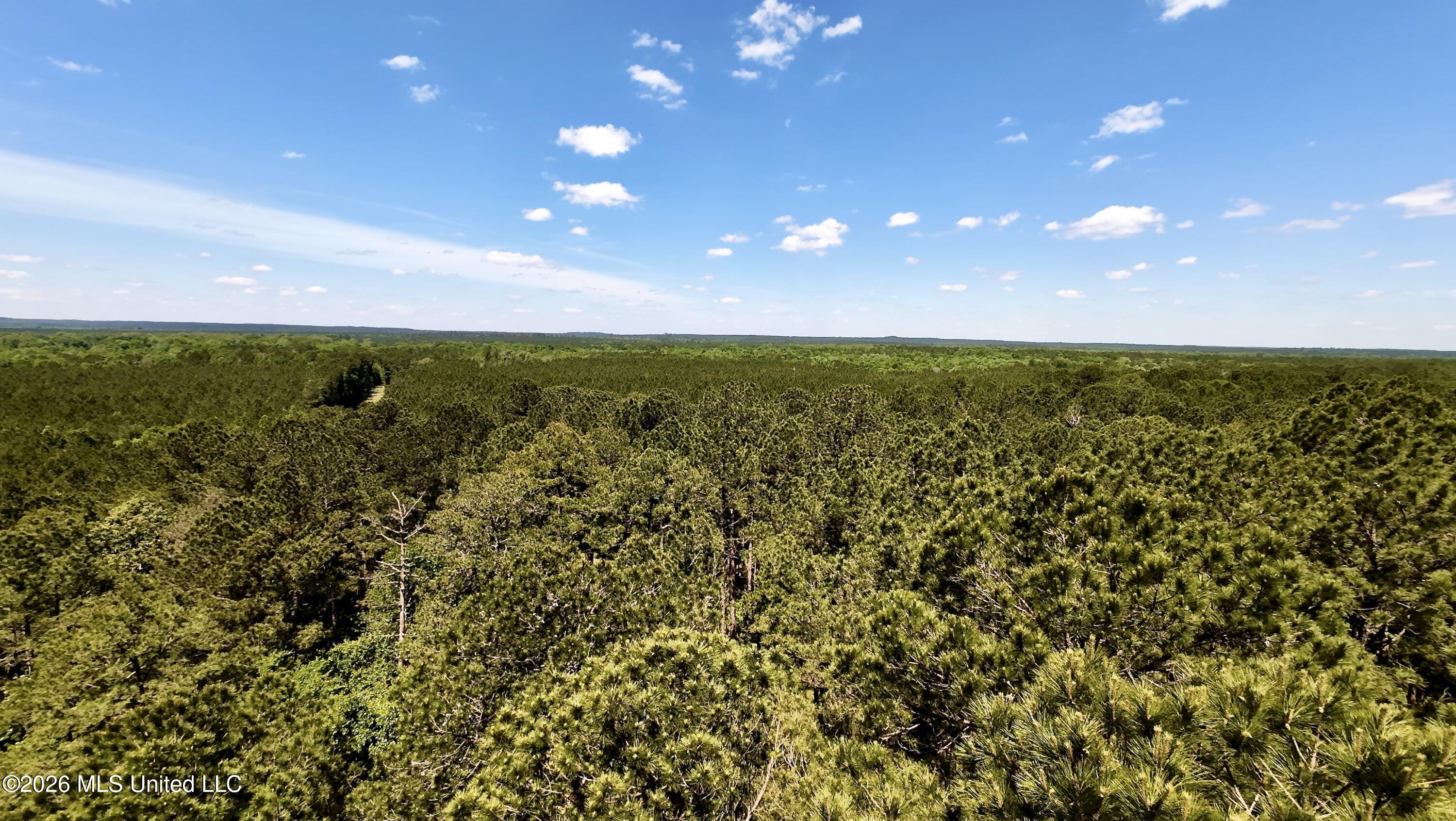 472 St John's Road Braxton, MS 39044 - Photo 11 of 16 DJI_20260504115508_0155_D