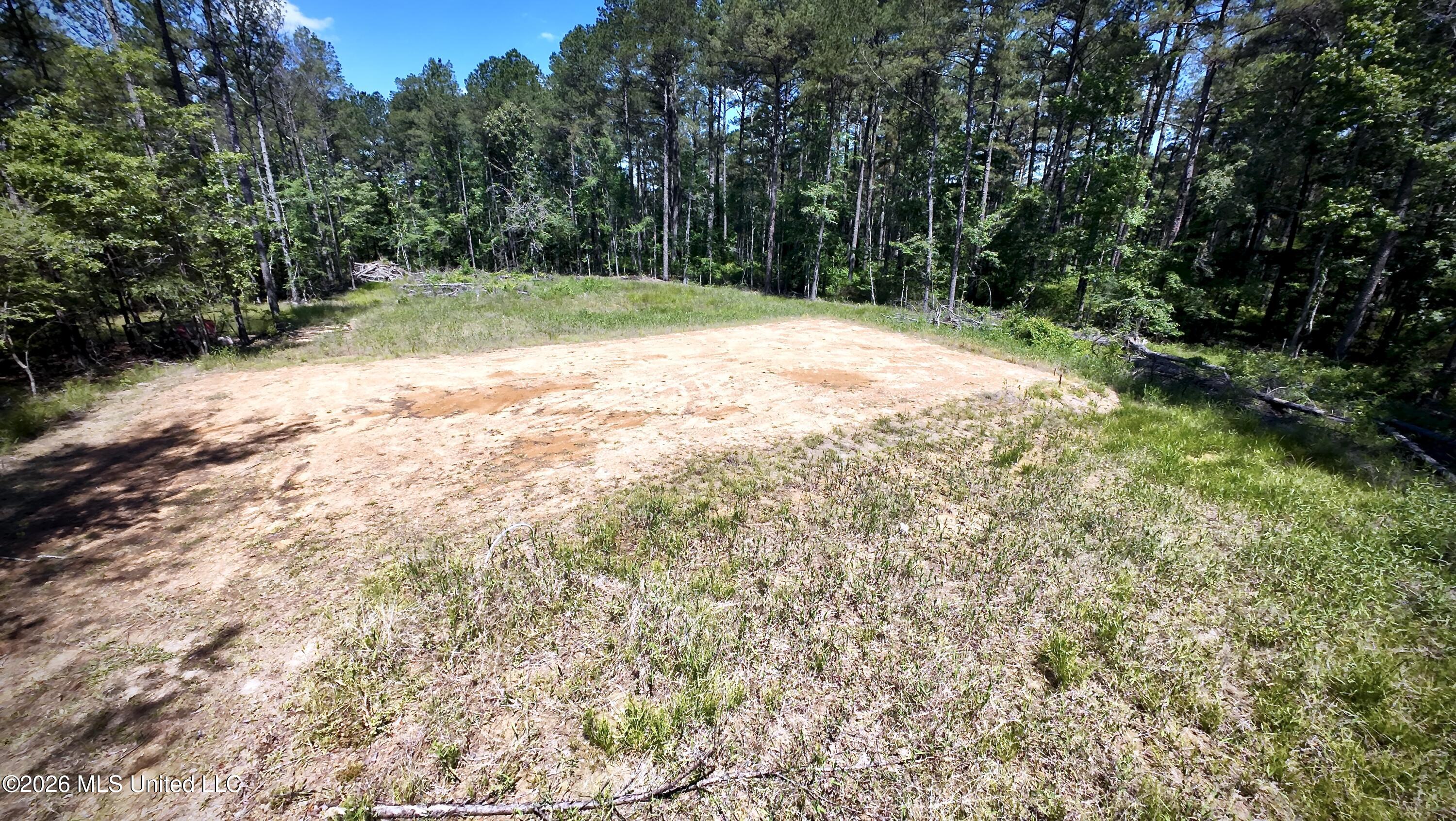 472 St John's Road Braxton, MS 39044 - Photo 12 of 16 DJI_20260504115448_0153_D