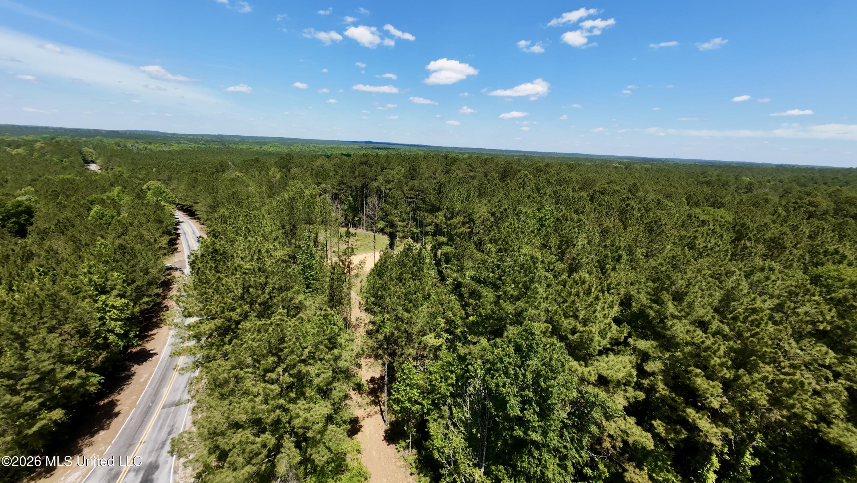 472 St John's Road Braxton, MS 39044 - Photo 4 of 16 DJI_20260504120318_0174_D