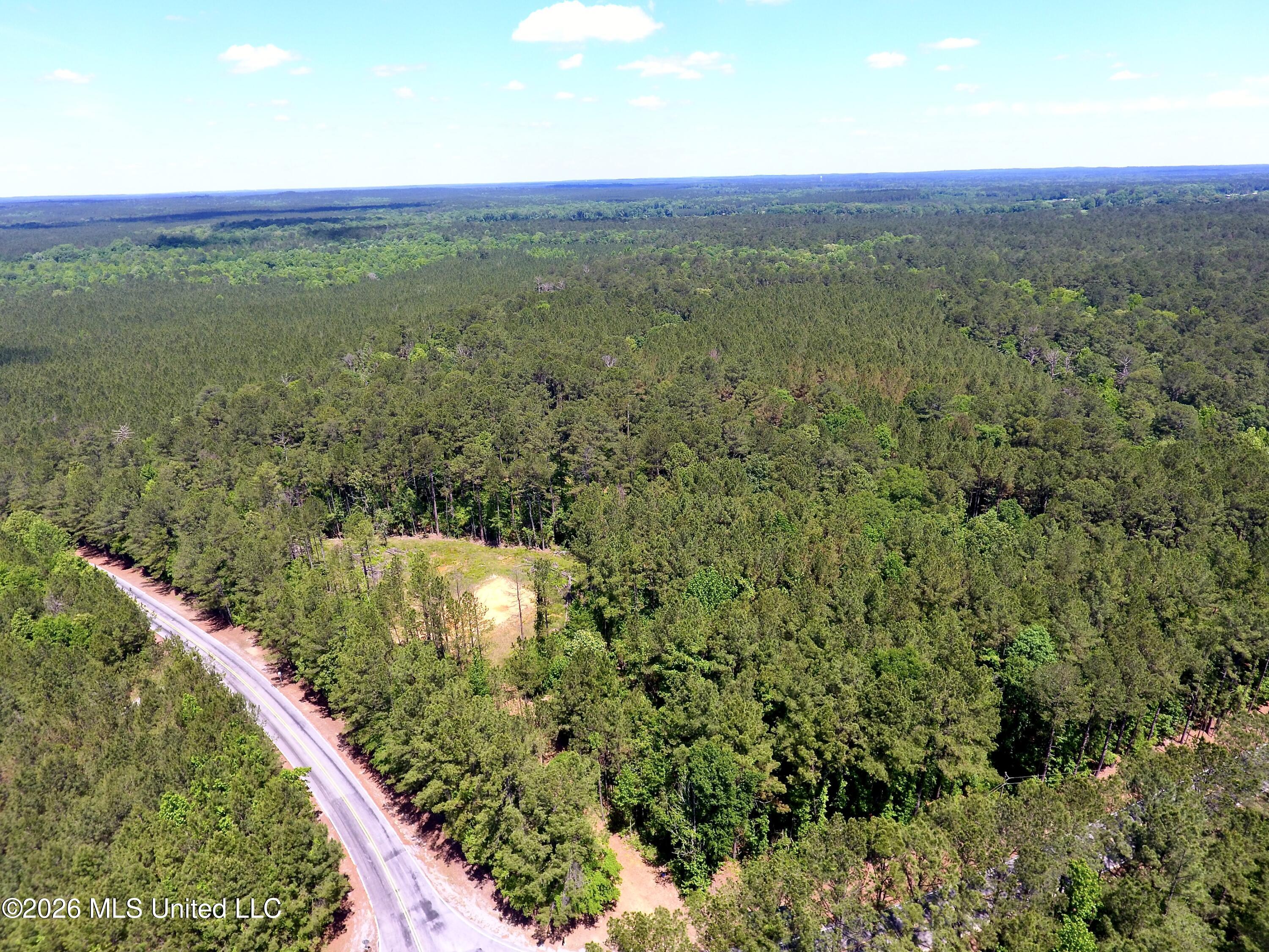 472 St John's Road Braxton, MS 39044 - Photo 5 of 16 DJI_0024