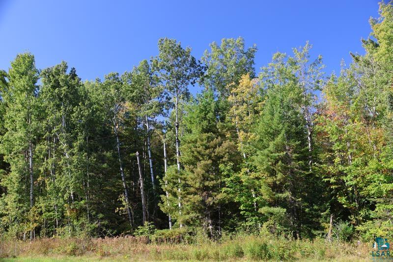 30-xxx Brevak Road Washburn, WI 54891 - Photo 7 of 50