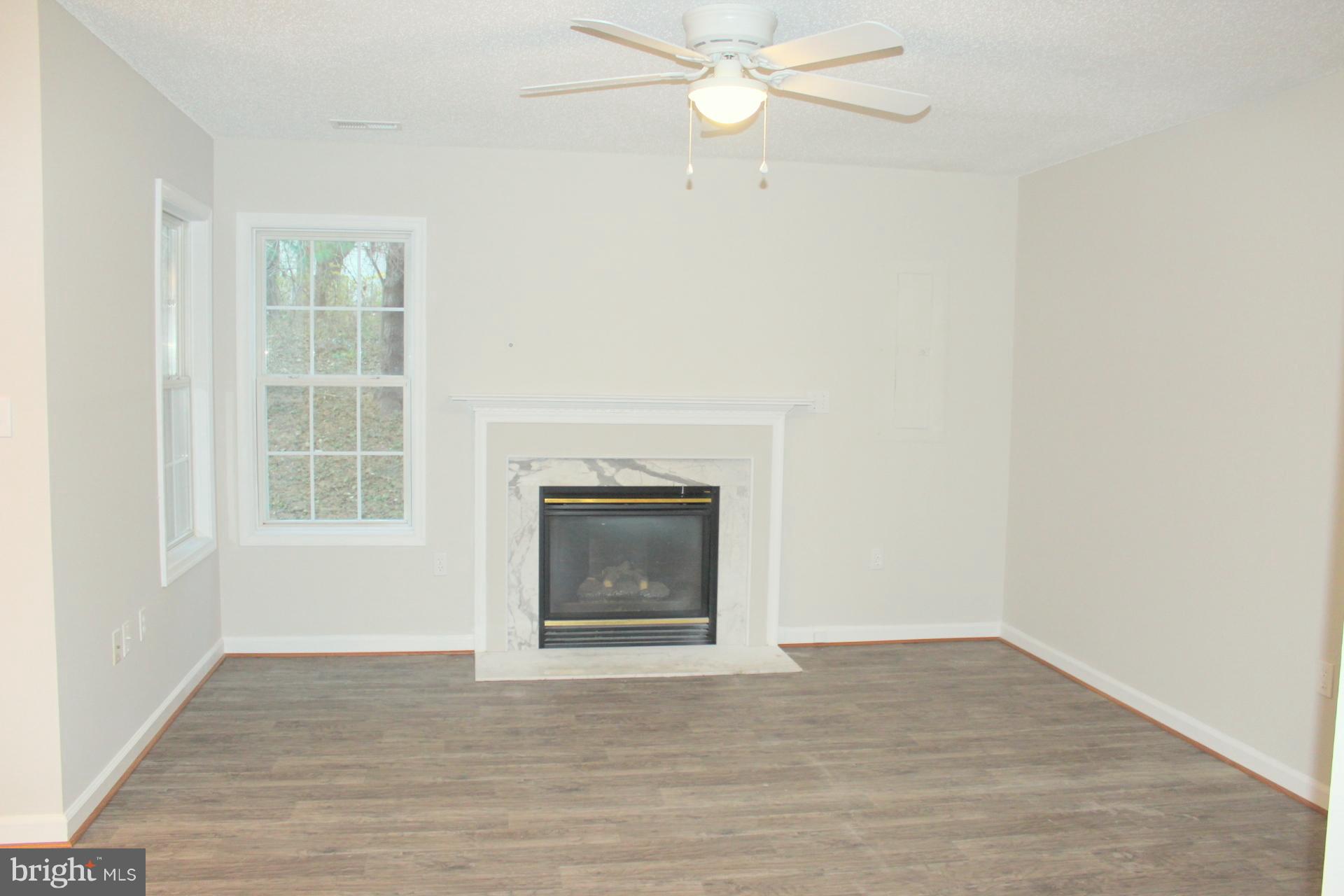 848 Ripplebrook Drive Culpeper, VA 22701 - Photo 10 of 16 Living Room w/gas logs