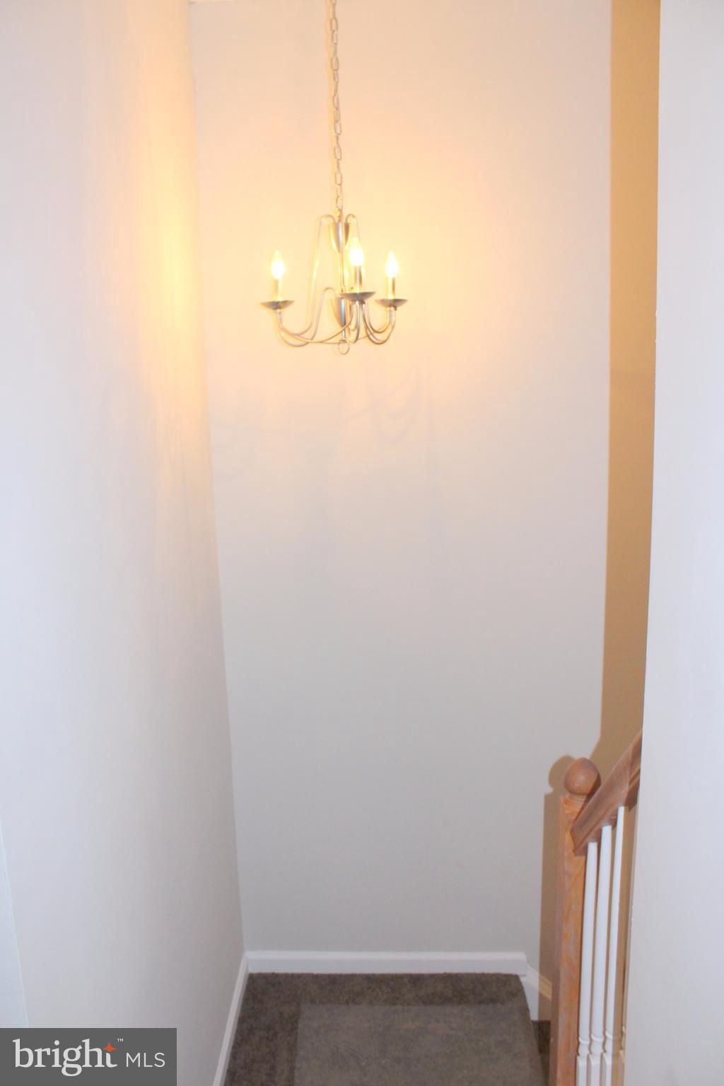 848 Ripplebrook Drive Culpeper, VA 22701 - Photo 7 of 16 Interior (General)