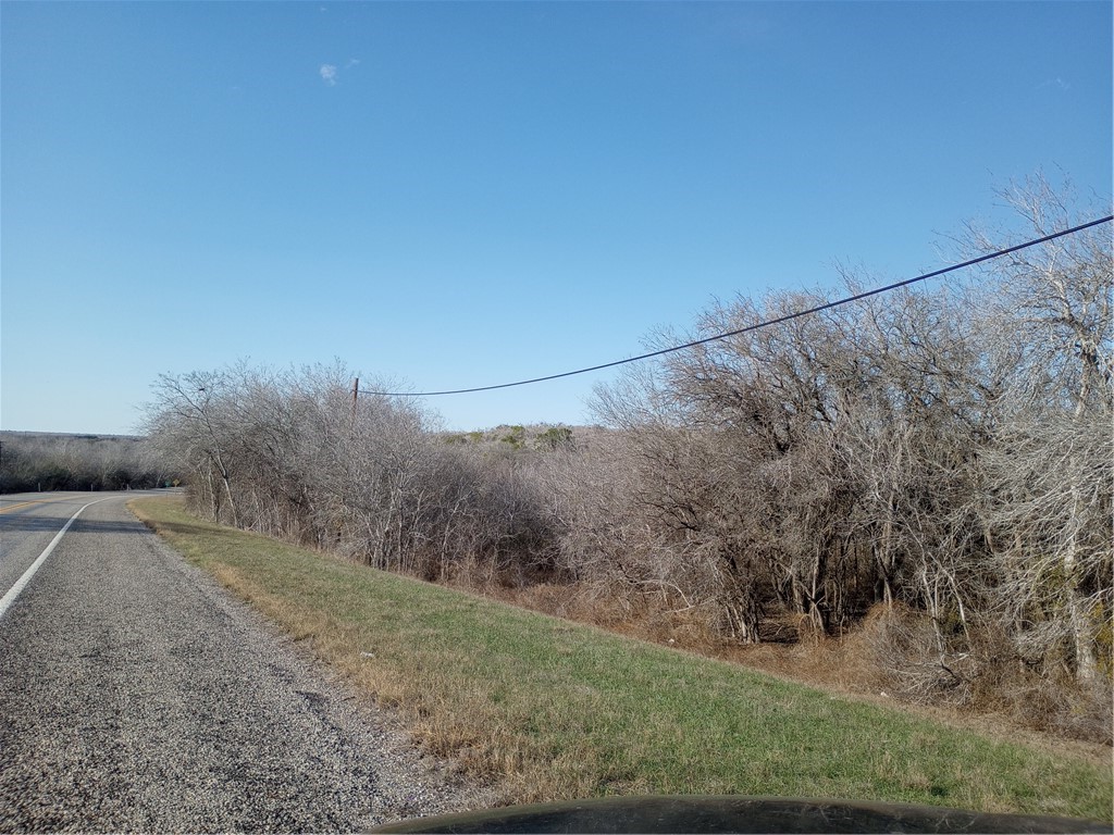 0 Fm 3024 Circle Mathis, TX 78368 - Photo 16 of 38 a view of a dry yard with trees