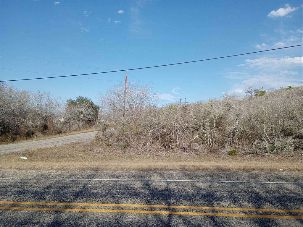 0 Fm 3024 Circle Mathis, TX 78368 - Photo 18 of 38 a view of a yard