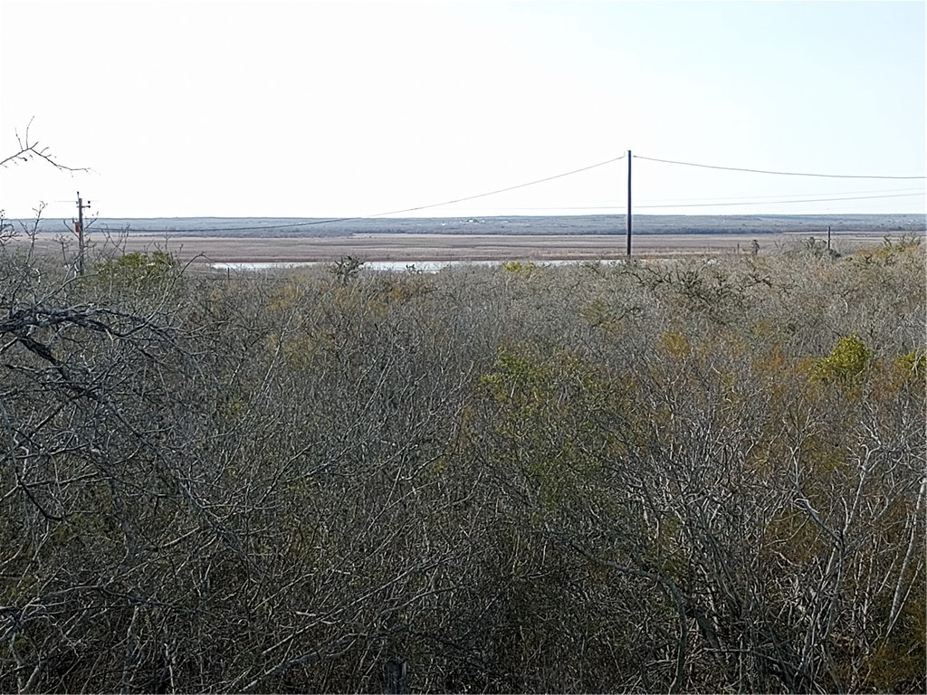 0 Fm 3024 Circle Mathis, TX 78368 - Photo 20 of 38 a view of a yard