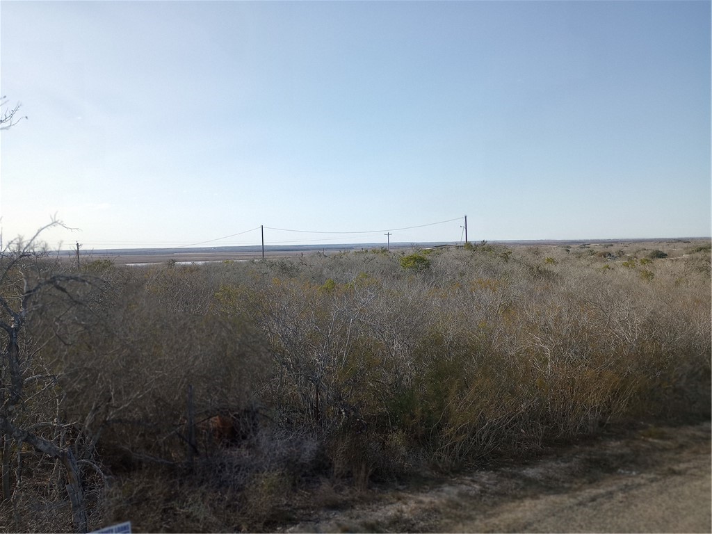 0 Fm 3024 Circle Mathis, TX 78368 - Photo 21 of 38 a view of a dry field