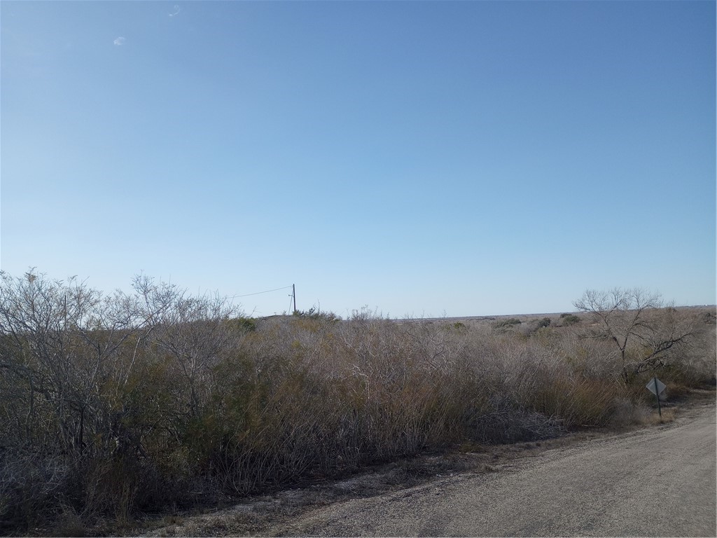 0 Fm 3024 Circle Mathis, TX 78368 - Photo 24 of 38 a view of mountain and trees
