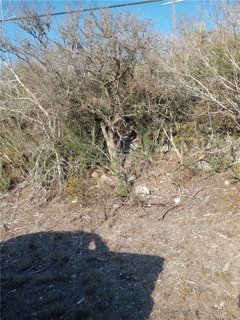0 Fm 3024 Circle Mathis, TX 78368 - Photo 28 of 38 a view of a forest