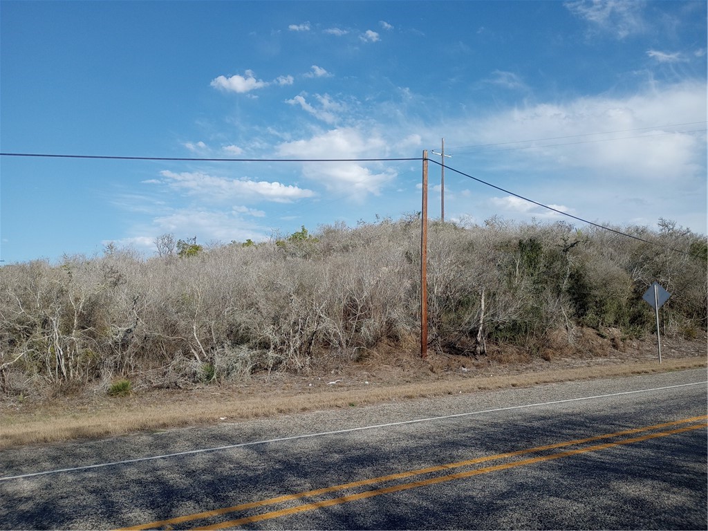 0 Fm 3024 Circle Mathis, TX 78368 - Photo 3 of 38 a view of a dry yard