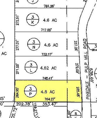 3 P Pulp Mill Road Clay Springs, AZ 85923 - Photo 4 of 4