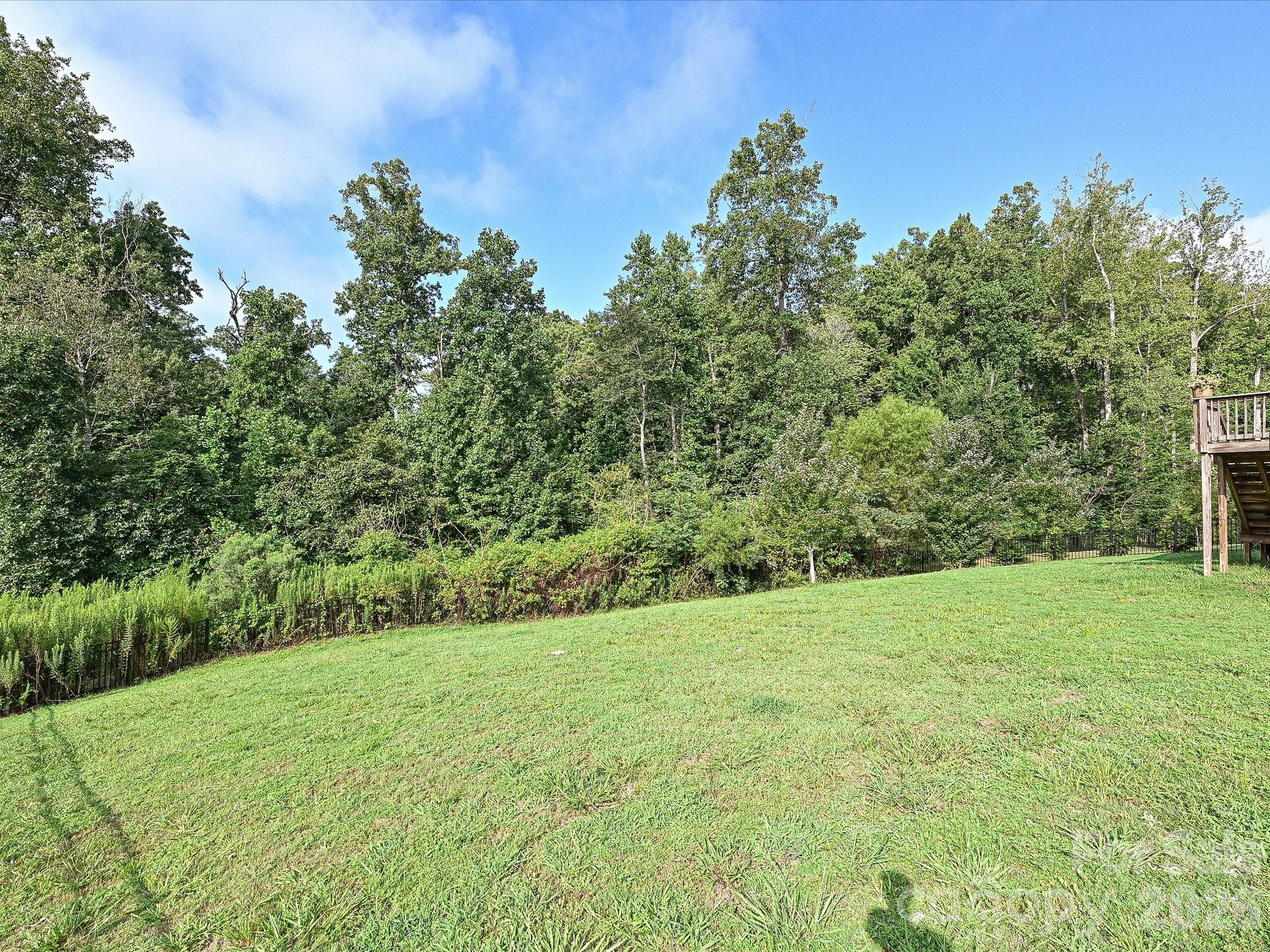 14312 Sunnyhill Grove Road Davidson, NC 28036 - Photo 41 of 44