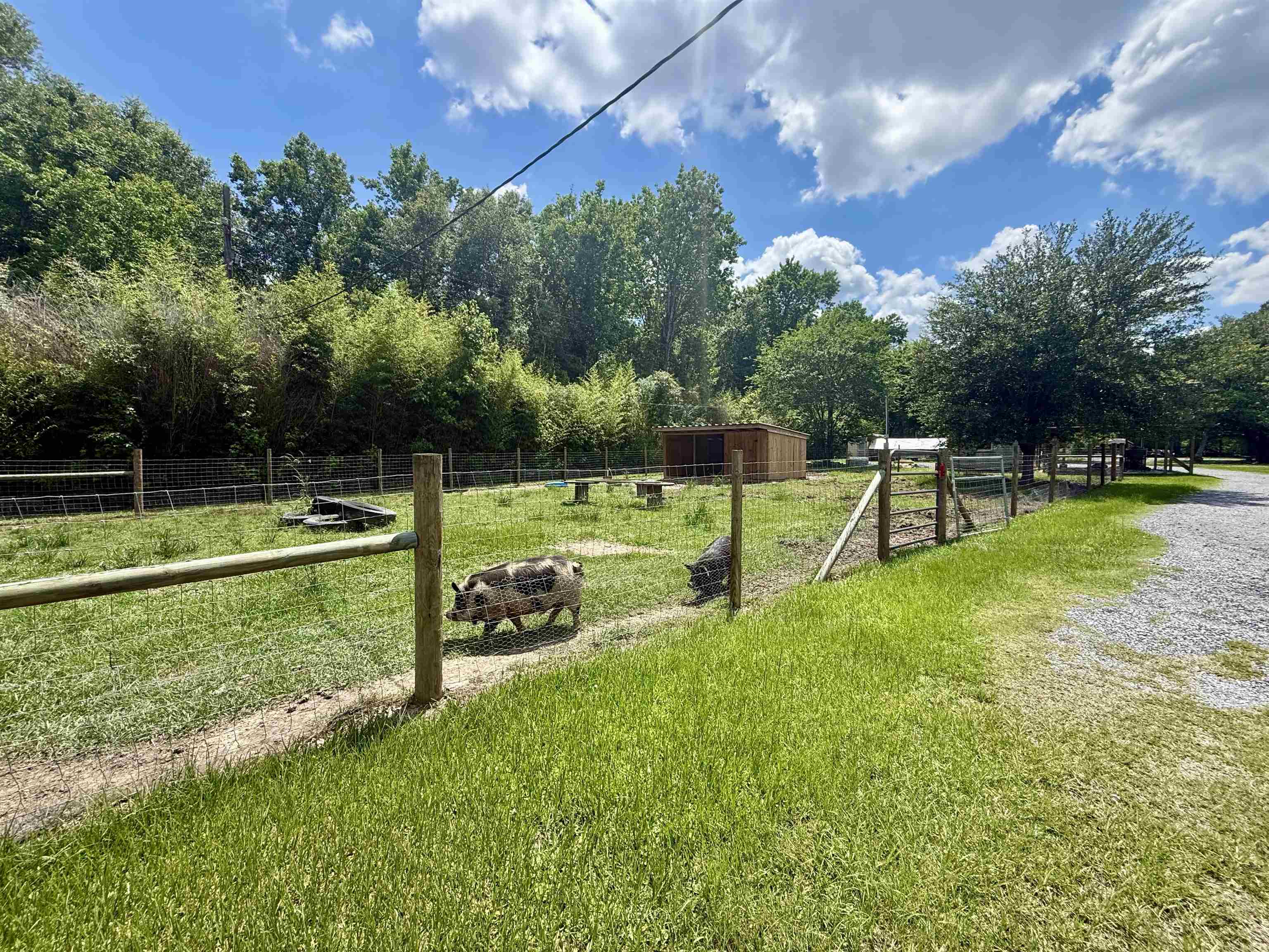 4799 Winfree Road Orange, TX 77630 - Photo 42 of 48