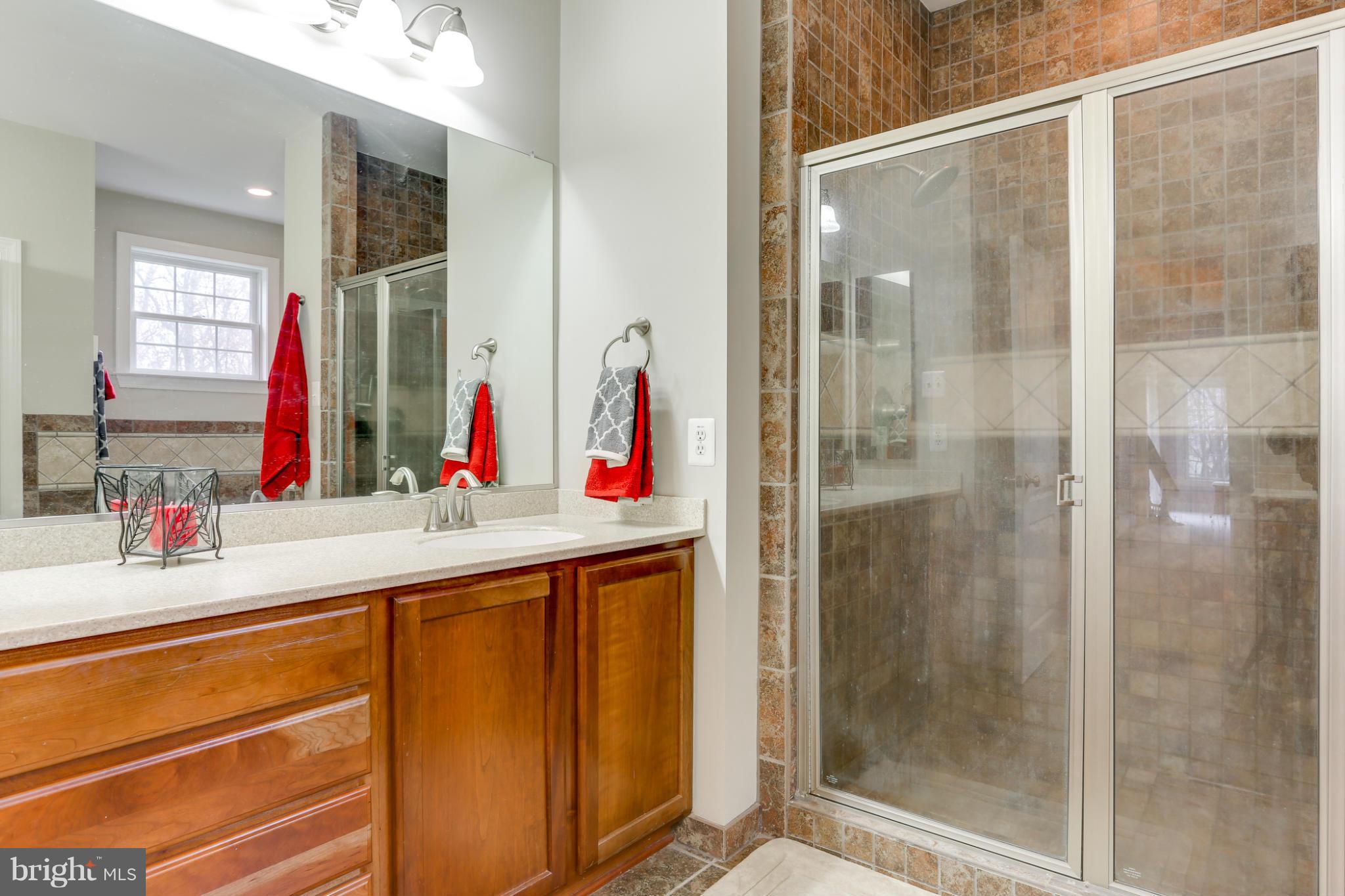 8490 Mapleville Road Mount Airy, MD 21771 - Photo 25 of 30 a bathroom with a shower and a sink