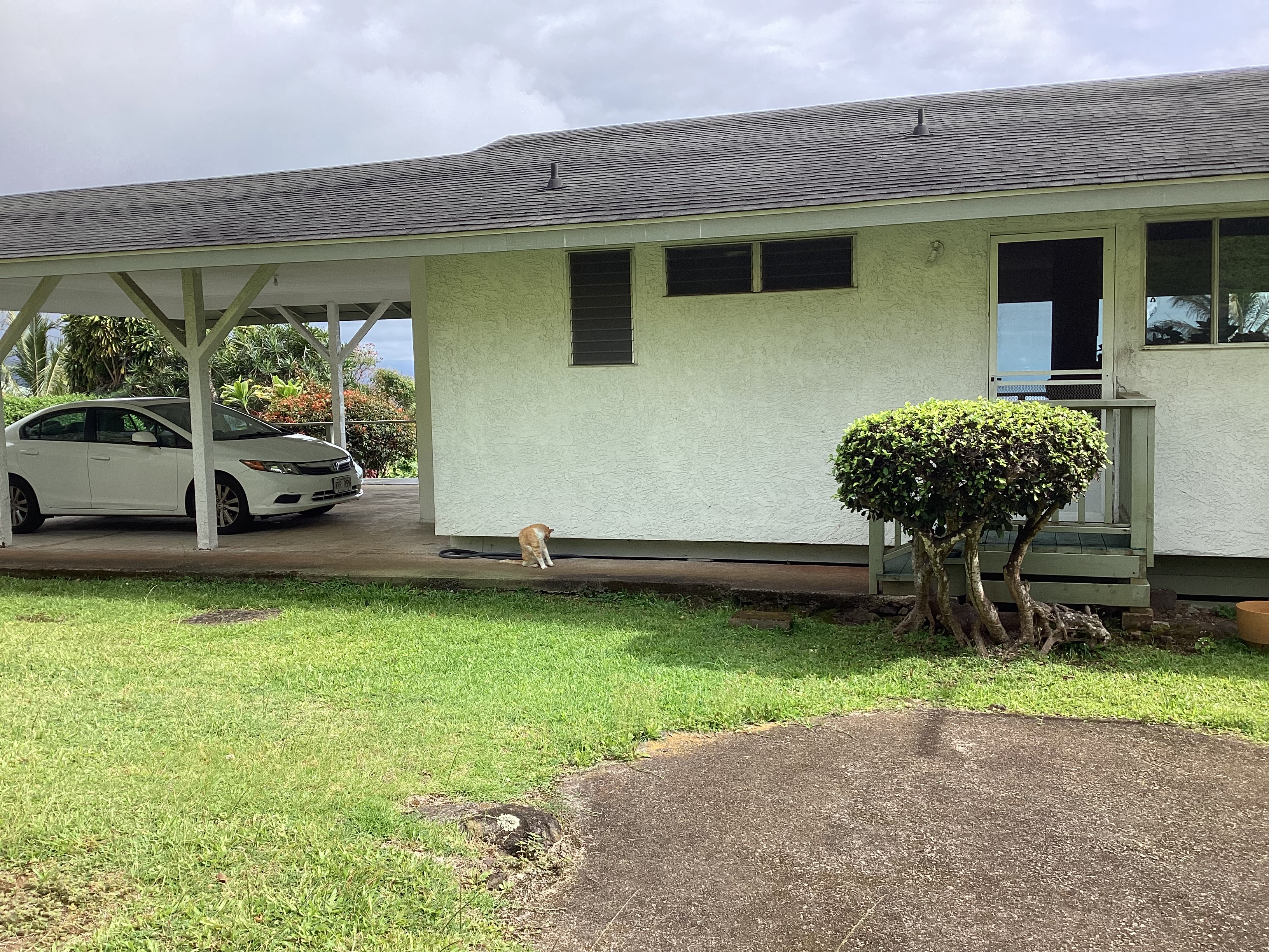 82-6049 Hawaiʻi Belt Road Captain Cook, HI 96704 - Photo 25 of 28 Gallery Image 25