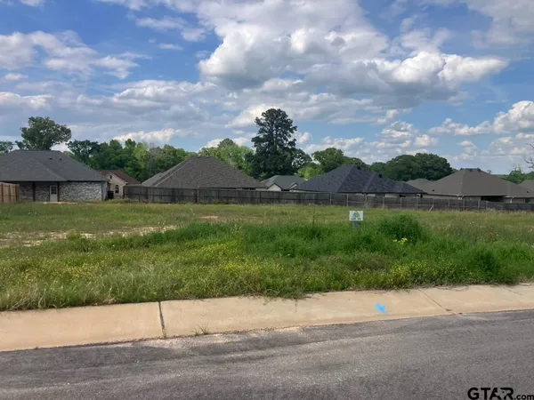 a view of a house with a yard and a street
