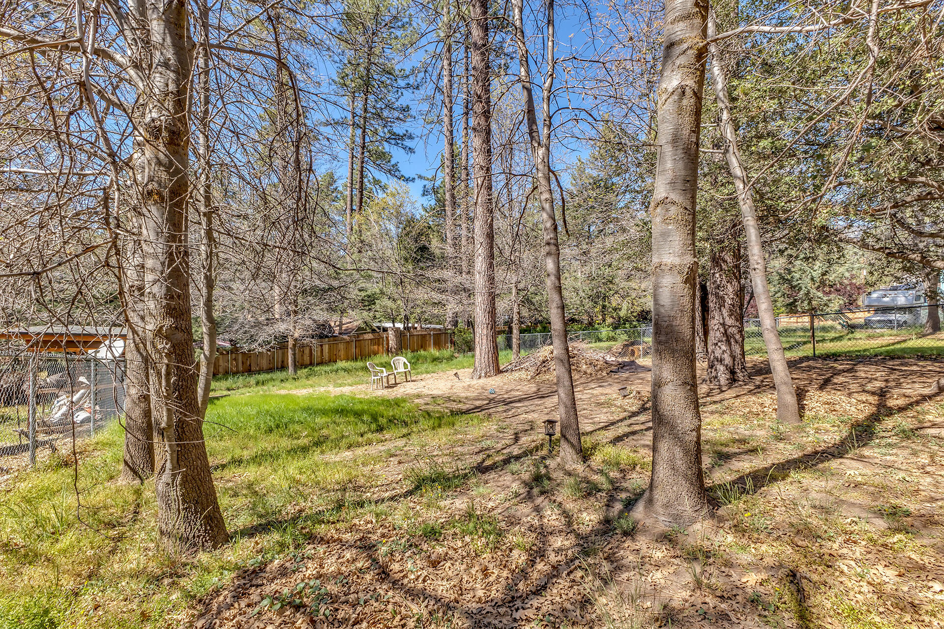 53460 Tollgate Road Idyllwild, CA 92549 - Photo 34 of 37 a view of a yard with large trees