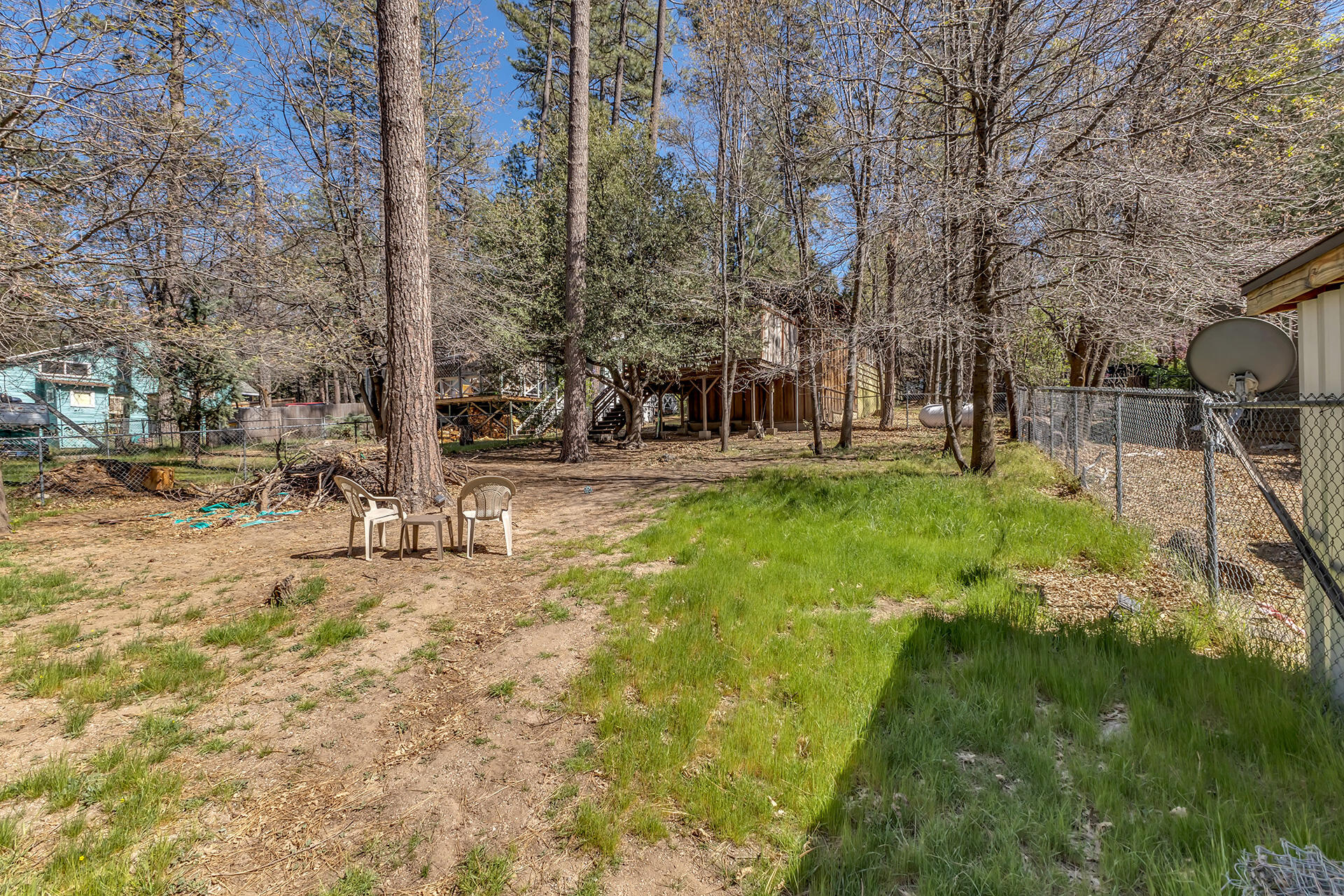 53460 Tollgate Road Idyllwild, CA 92549 - Photo 35 of 37 a view of a yard with palm tree