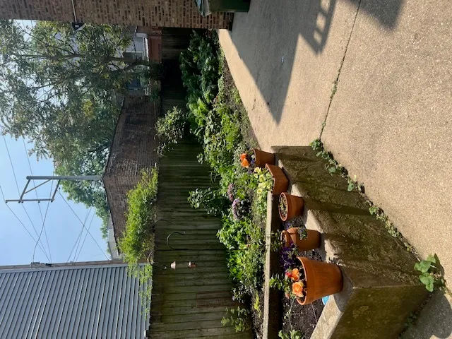 a view of a pathway of a house