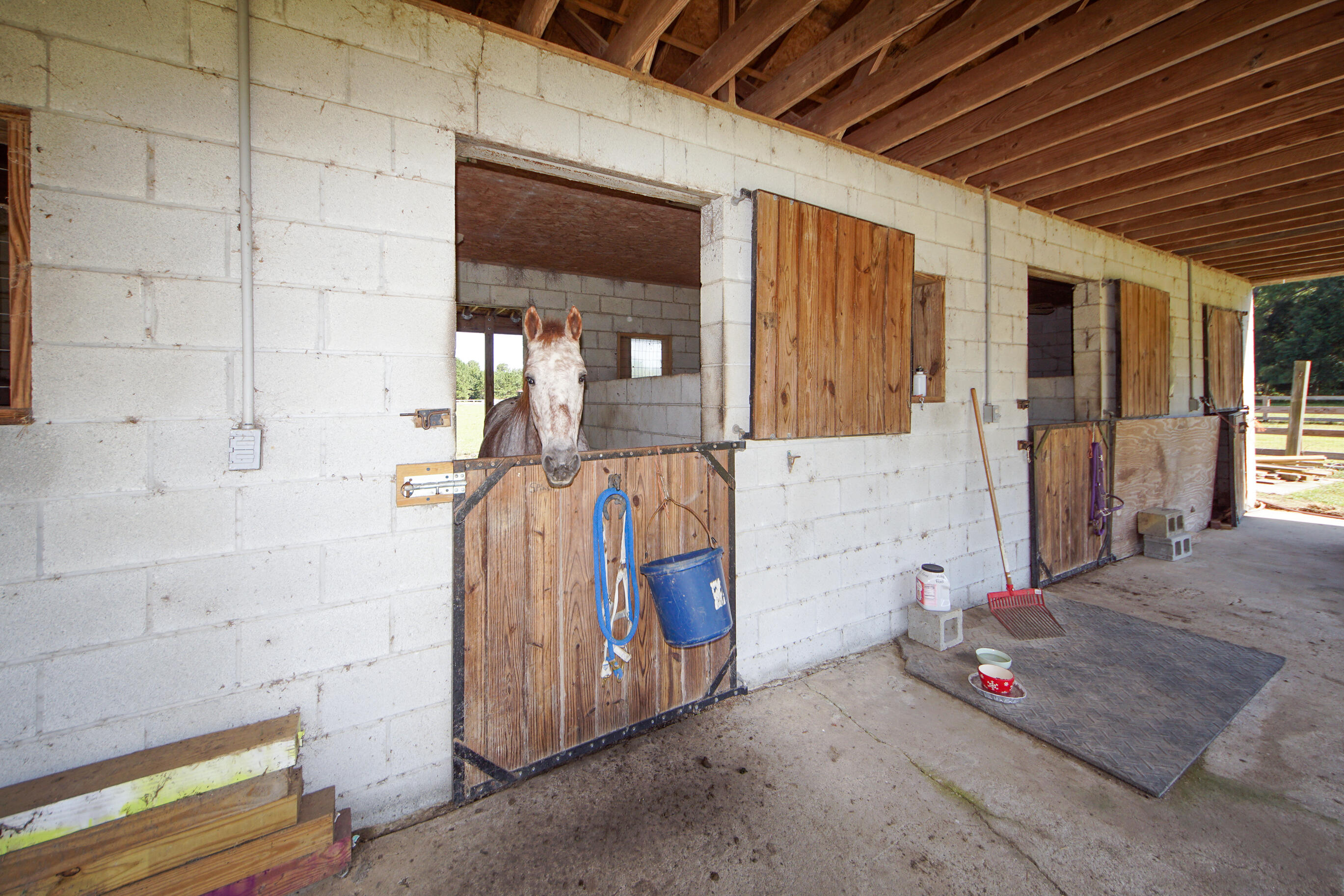 278 Campbell Road Ridgeville, SC 29472 - Photo 40 of 59 Barn