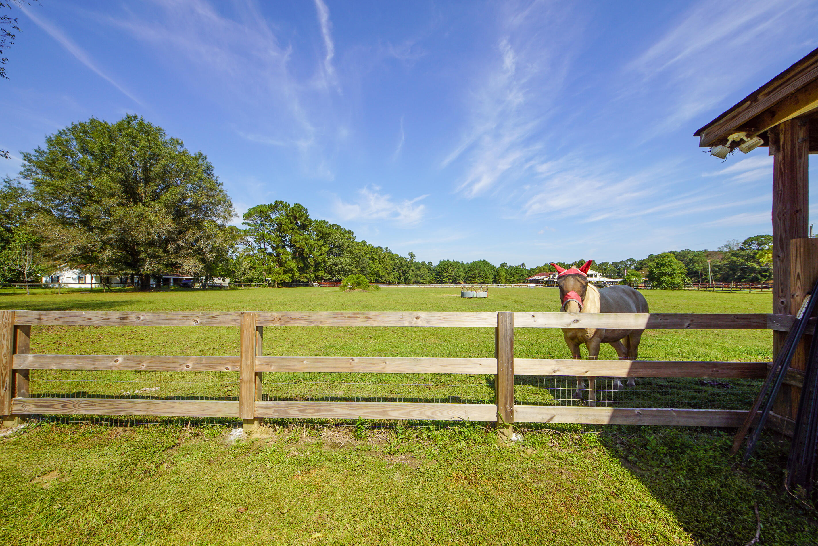 278 Campbell Road Ridgeville, SC 29472 - Photo 42 of 59 Large Pasture