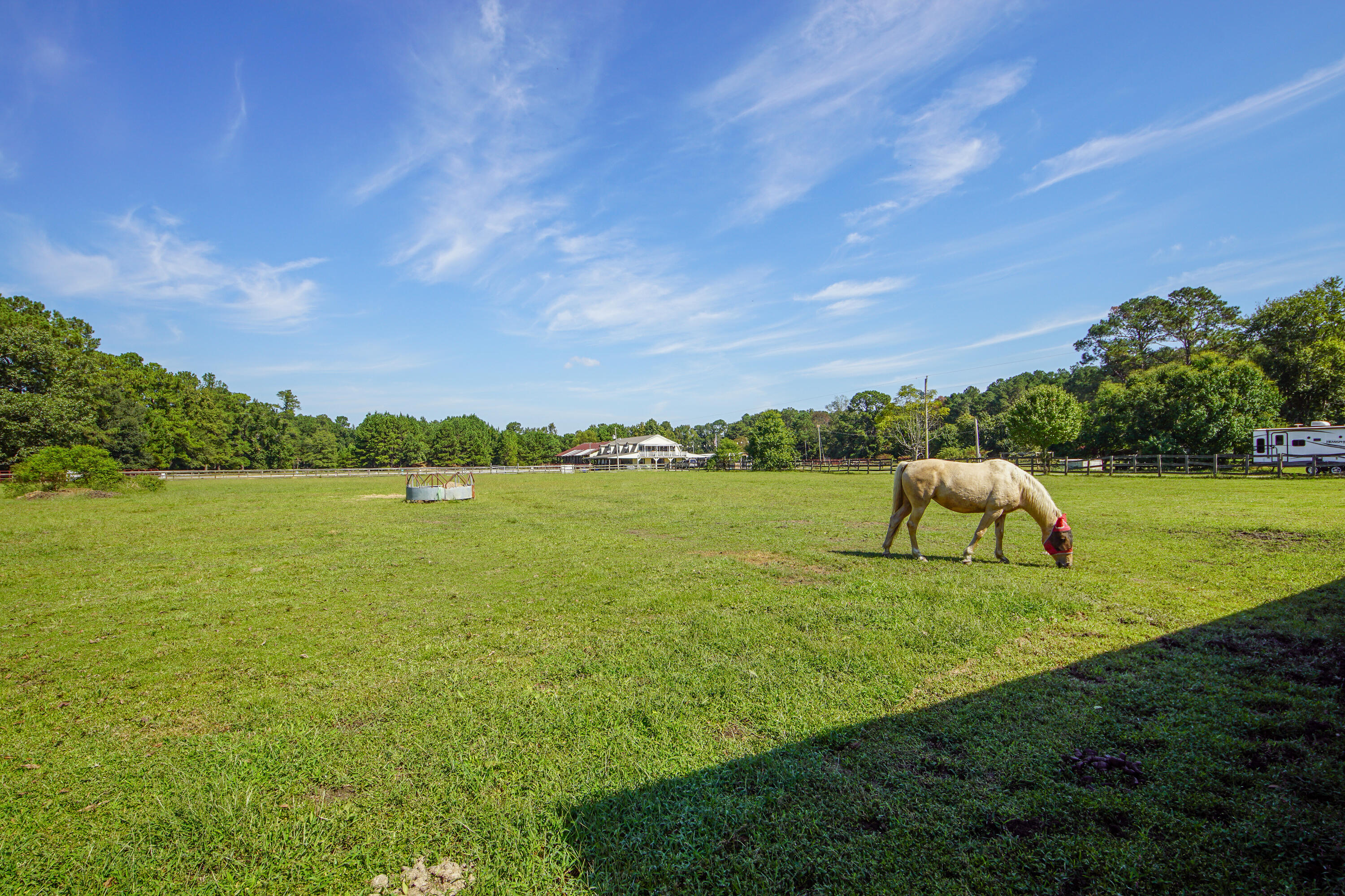 278 Campbell Road Ridgeville, SC 29472 - Photo 44 of 59 Large Pasture