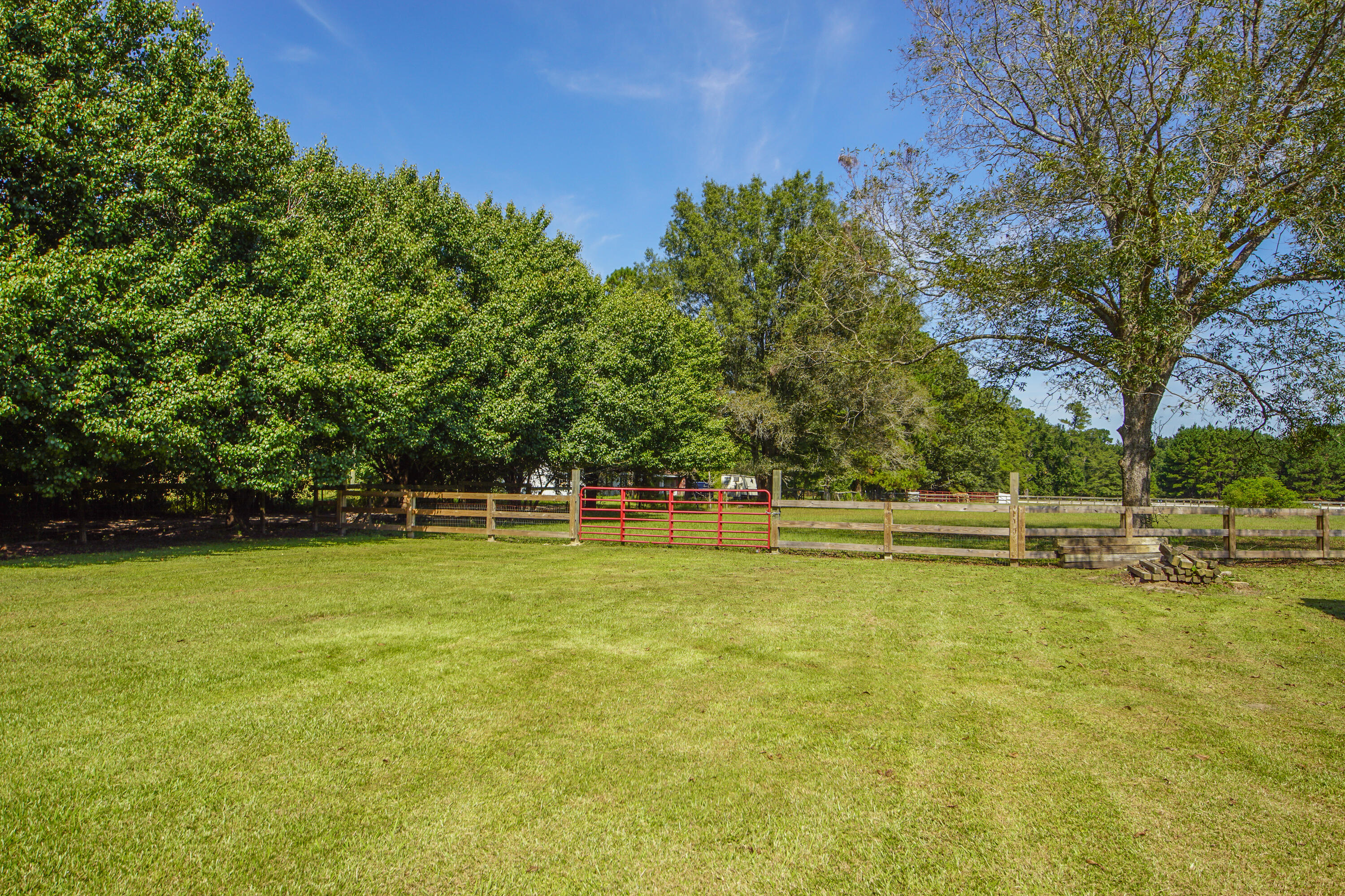 278 Campbell Road Ridgeville, SC 29472 - Photo 49 of 59 Left Side Yard