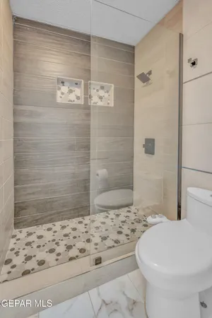 a bathroom with a toilet and a shower