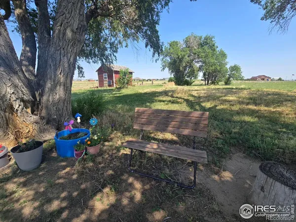 a view of a fire pit with a yard