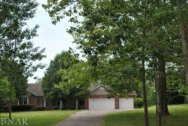 699 Kickapoo Drive Danvers, IL 61732 - Photo 3 of 22