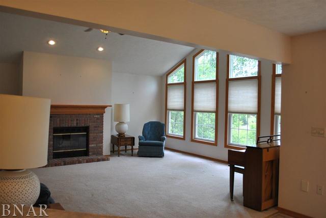 699 Kickapoo Drive Danvers, IL 61732 - Photo 8 of 22