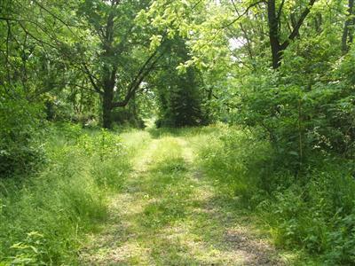 1 Number 5 Road Pleasant Plain, OH 45162 - Photo 1 of 1