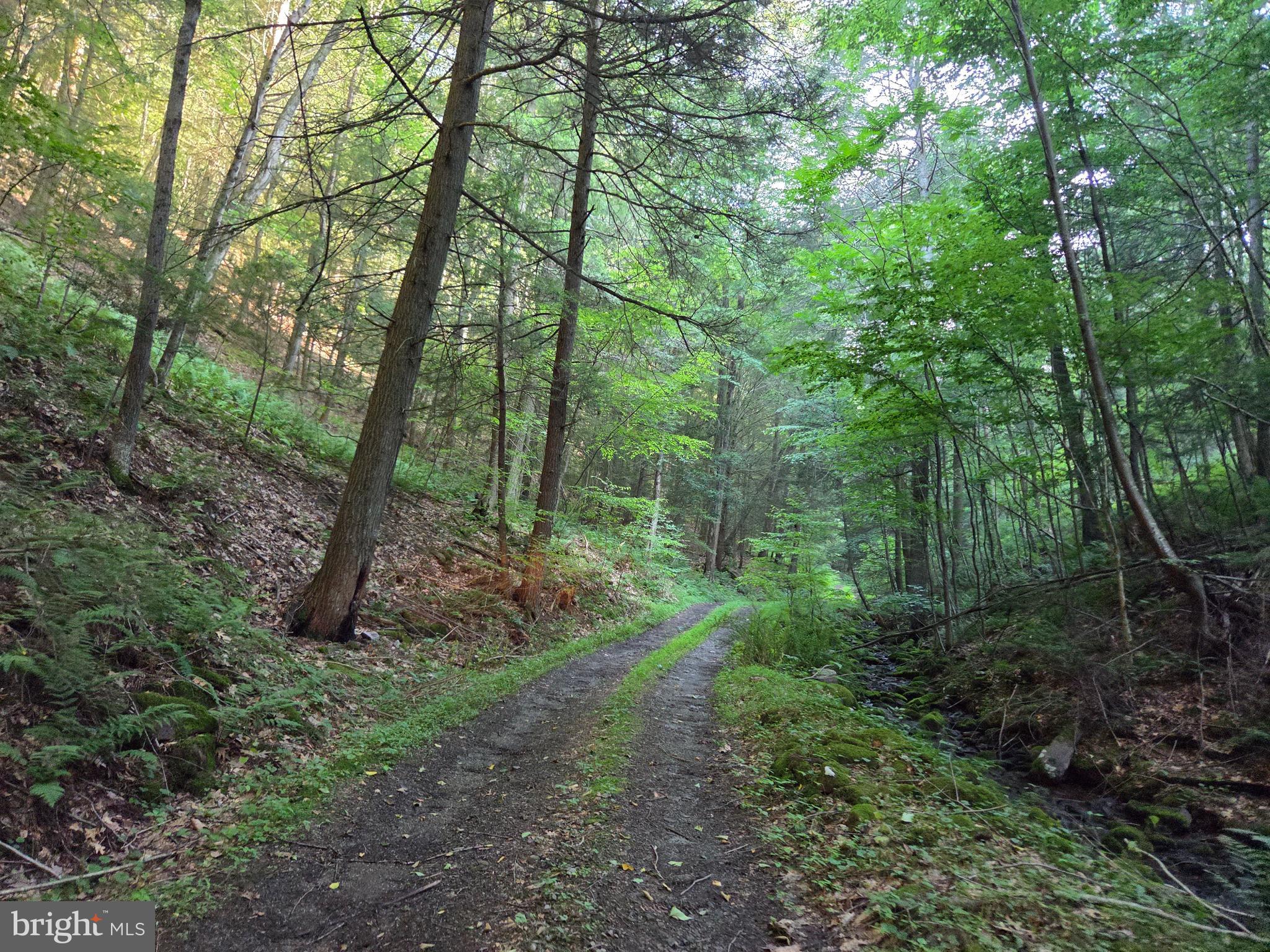 0 Carlisle Gap Road Lewistown, PA 17044 - Photo 16 of 53