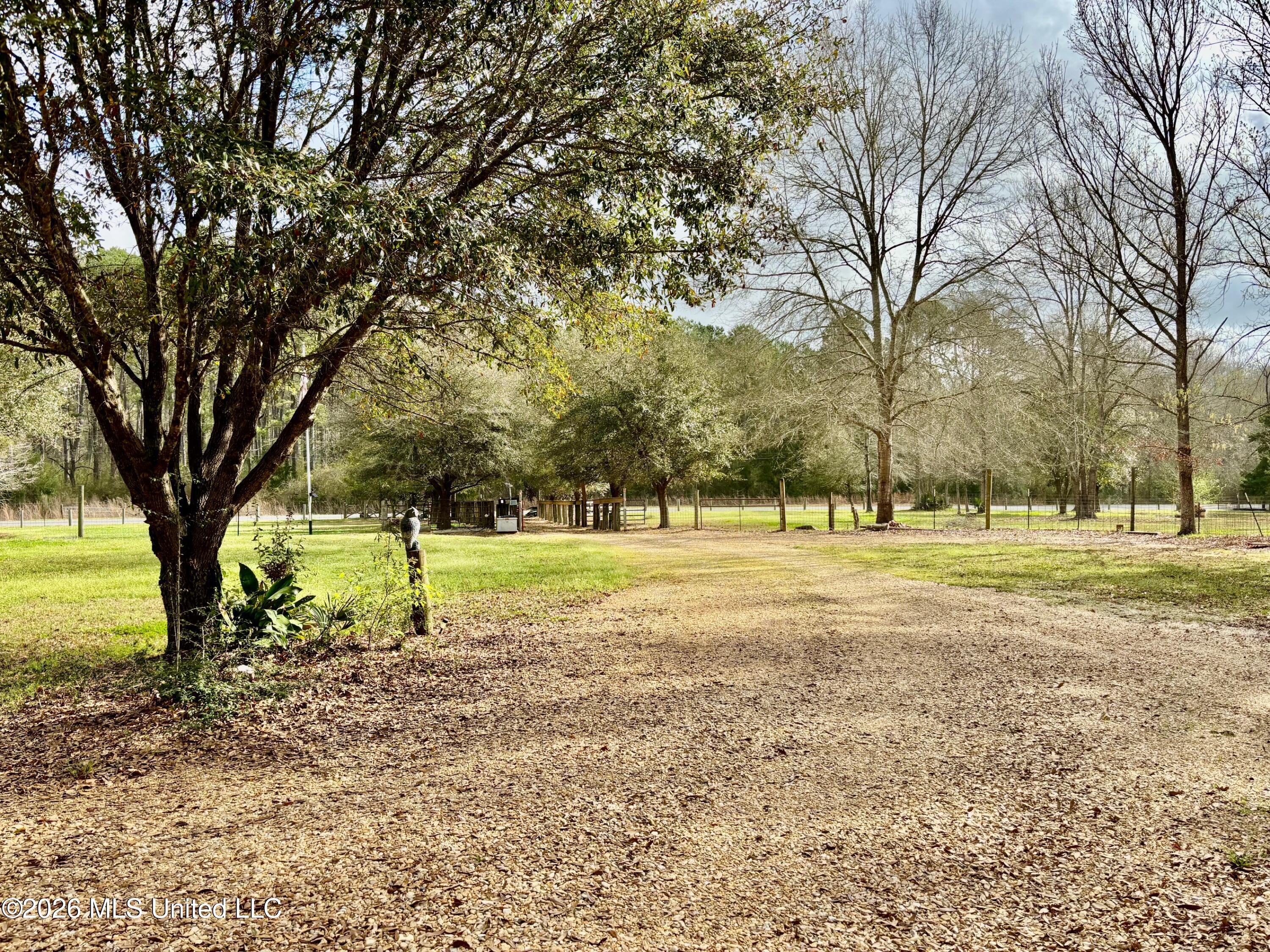 7019 West Topisaw South Summit, MS 39666 - Photo 24 of 45 IMG_2683