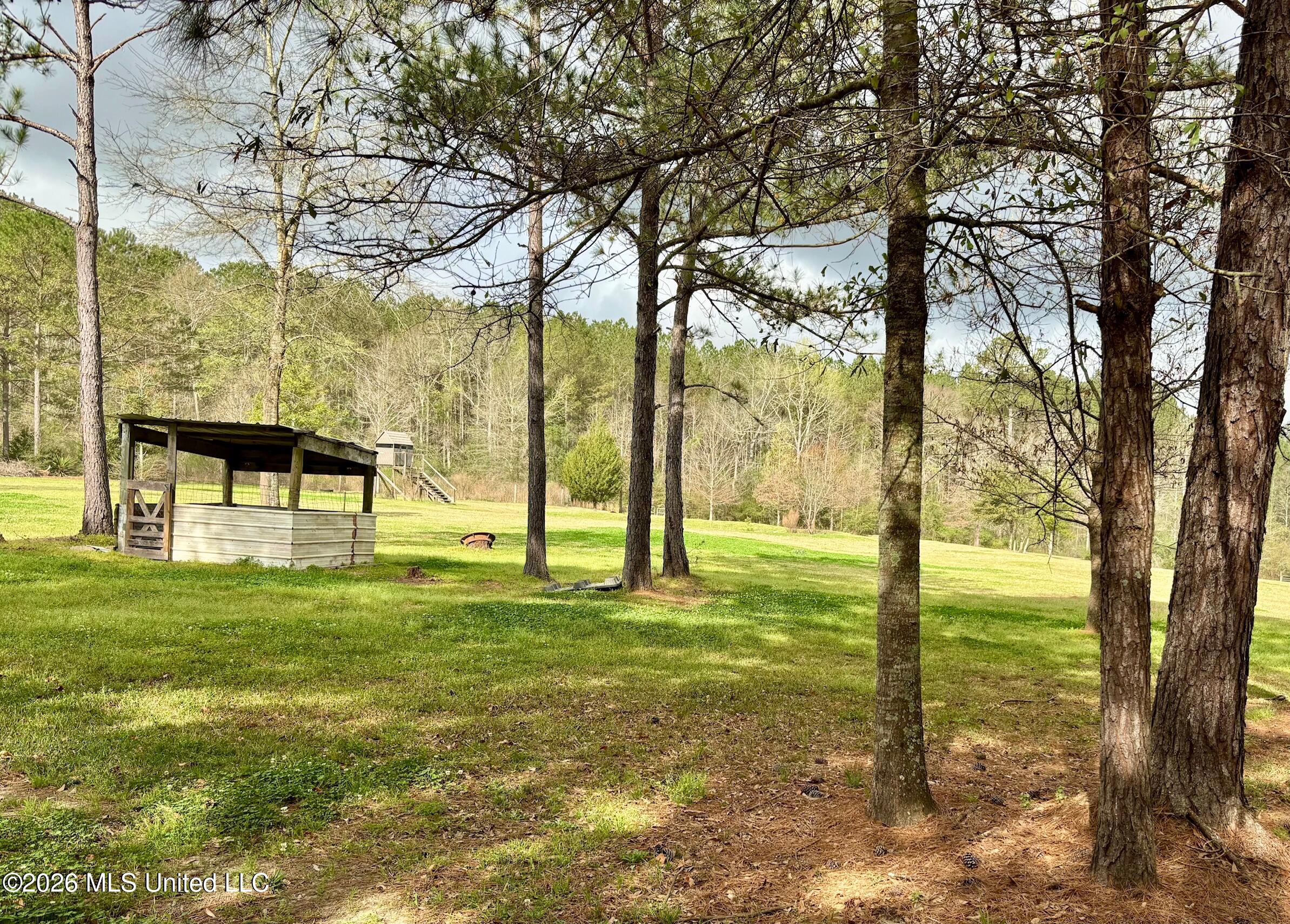 7019 West Topisaw South Summit, MS 39666 - Photo 28 of 45 IMG_2673