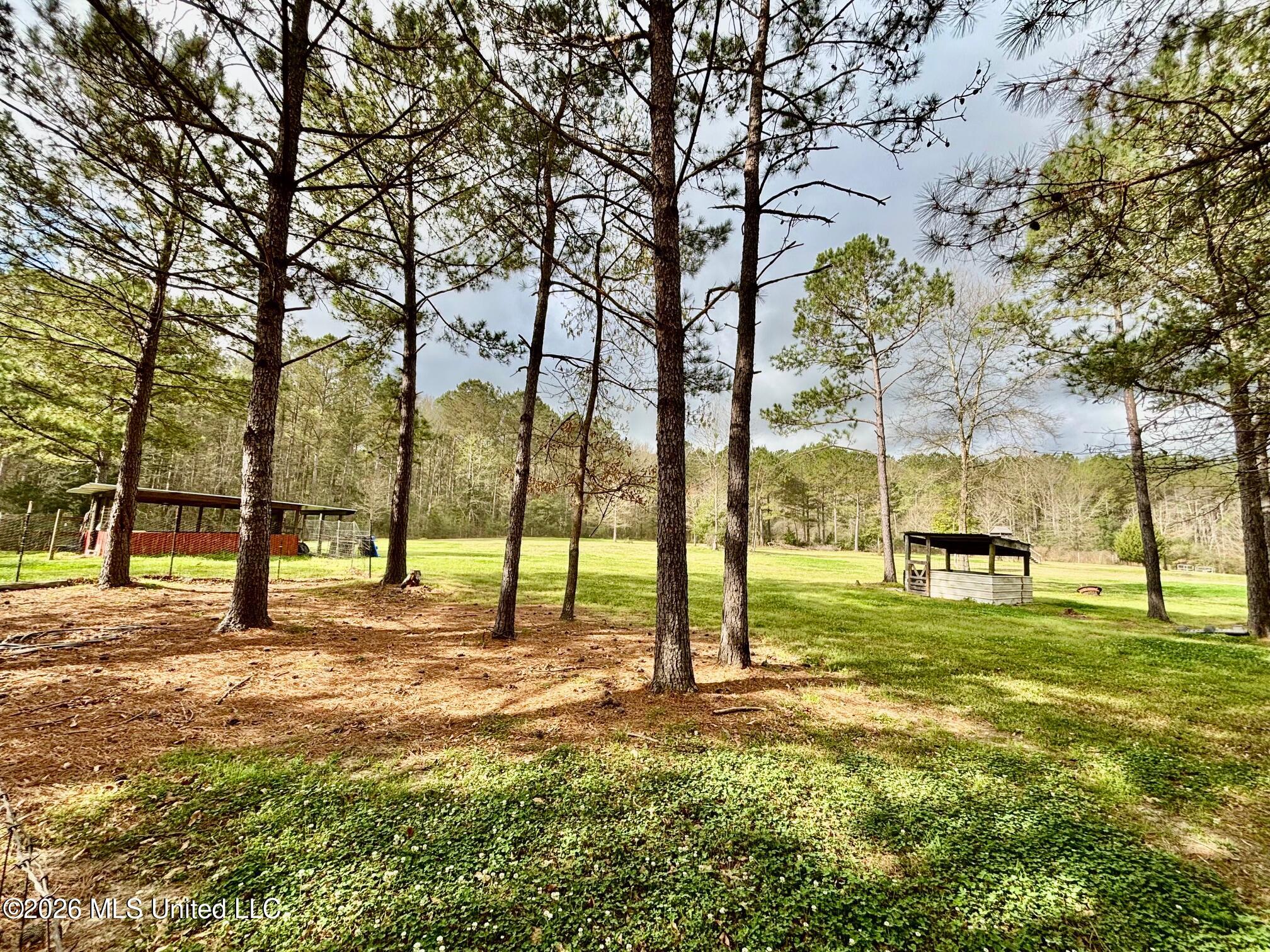 7019 West Topisaw South Summit, MS 39666 - Photo 29 of 45 IMG_2672