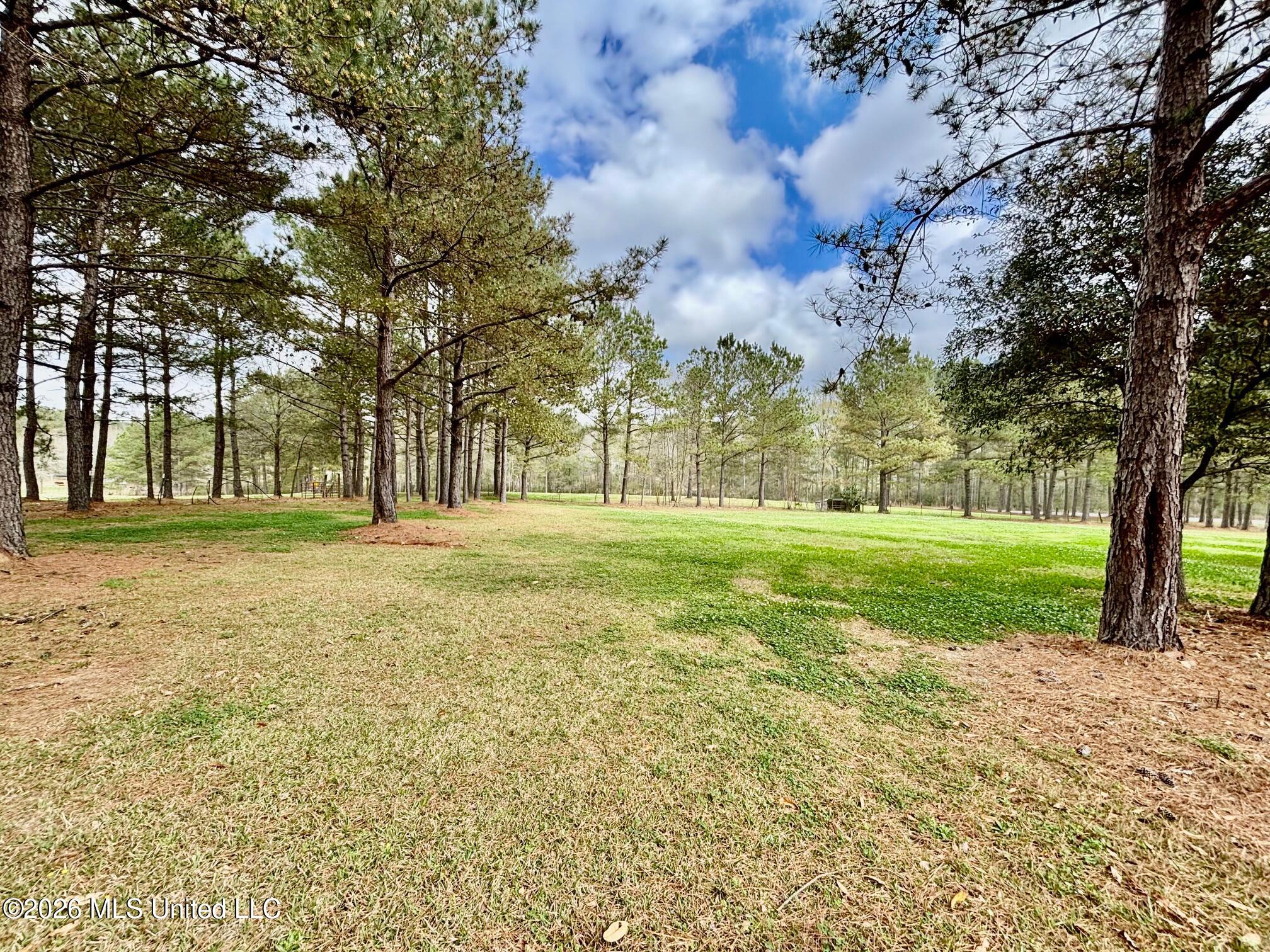 7019 West Topisaw South Summit, MS 39666 - Photo 39 of 45 IMG_2670