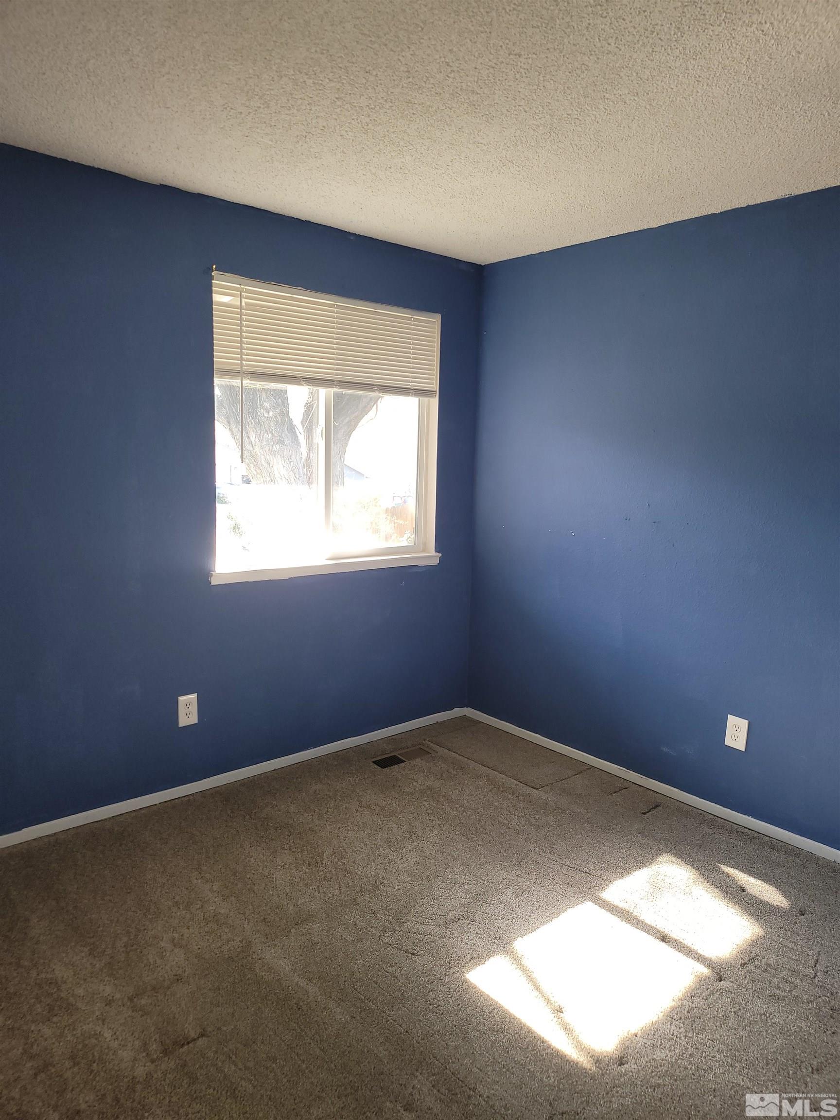 15030 Perlite Drive Reno, NV 89521 - Photo 17 of 27 Photo 18