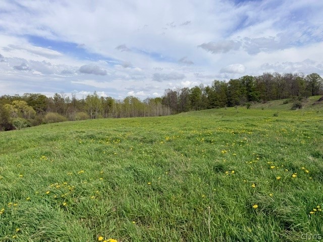 4634 Roberts Road Fenner, NY 13035 - Photo 26 of 38