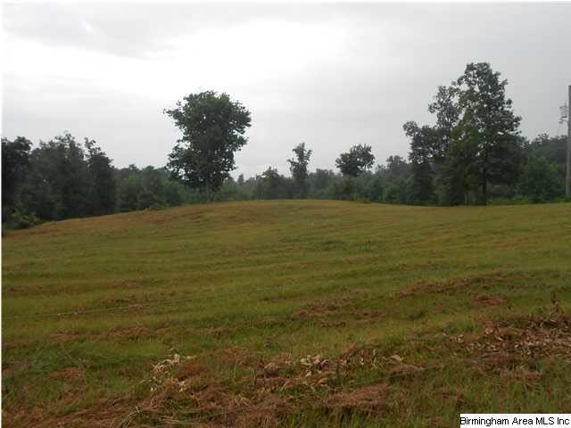 7015 Co Highway 24 Oneonta, AL 35121 - Photo 24 of 30