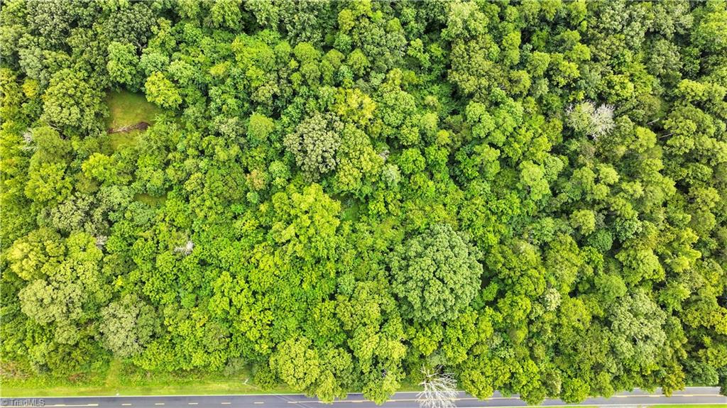 5438 Wild Turkey Road Whitsett, NC 27377 - Photo 12 of 22