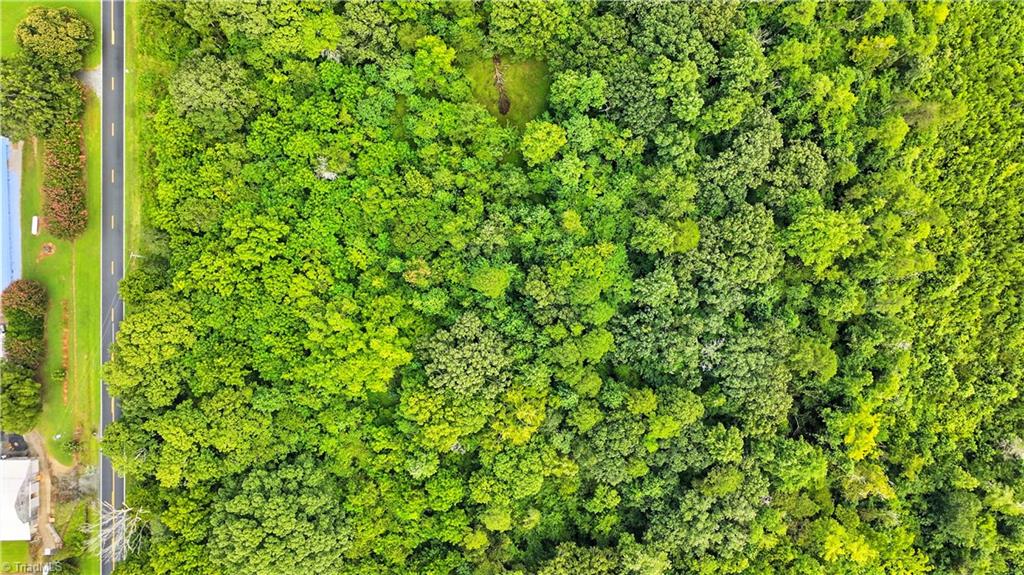 5438 Wild Turkey Road Whitsett, NC 27377 - Photo 13 of 22