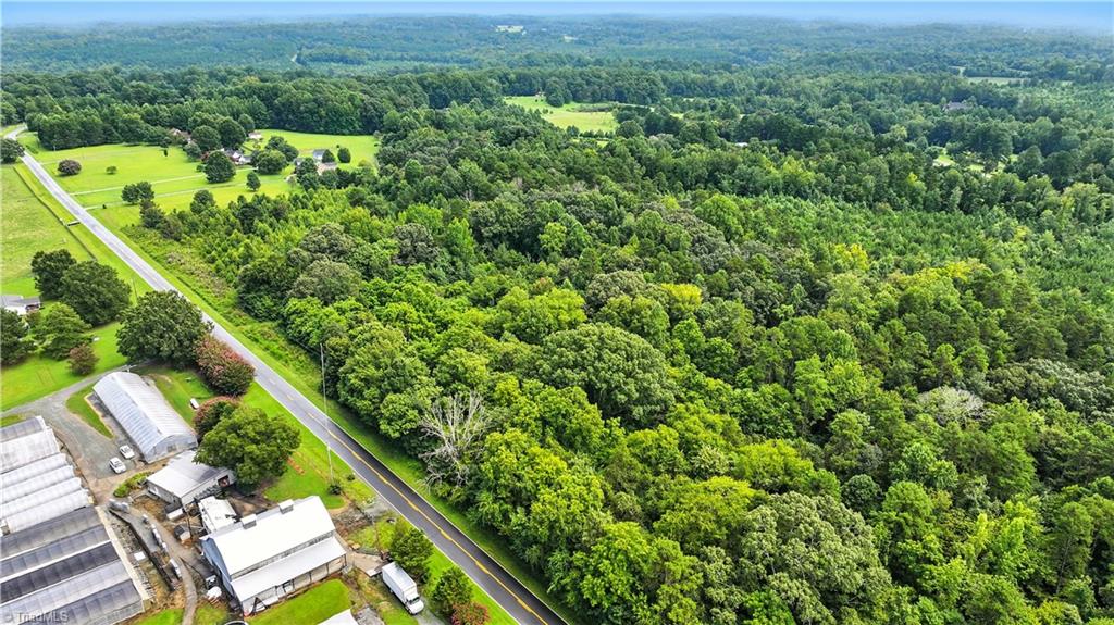 5438 Wild Turkey Road Whitsett, NC 27377 - Photo 5 of 22