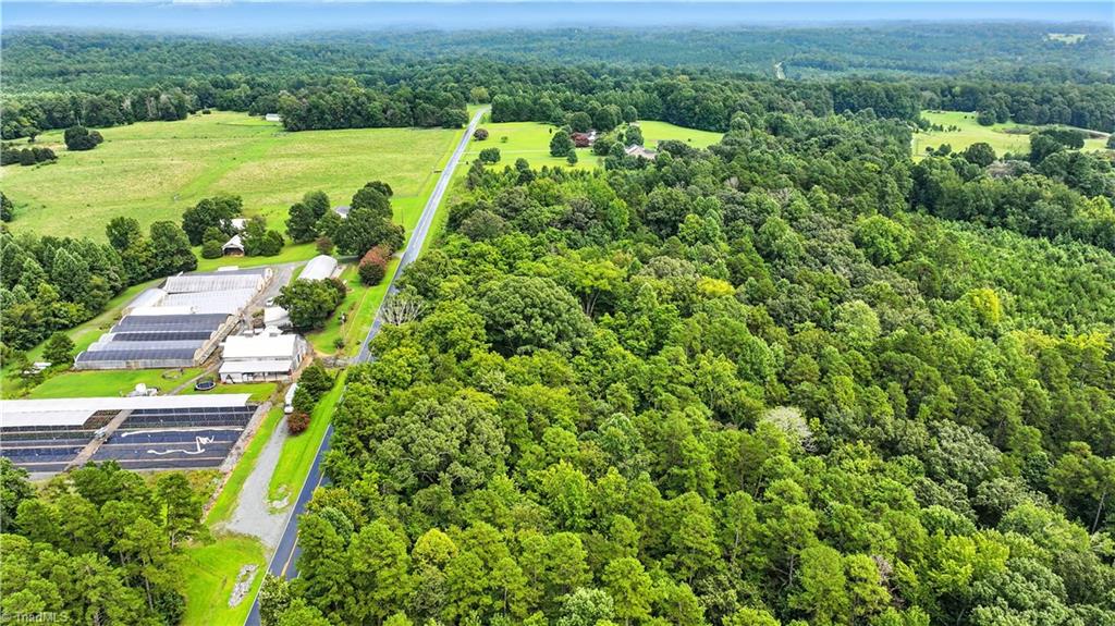 5438 Wild Turkey Road Whitsett, NC 27377 - Photo 6 of 22