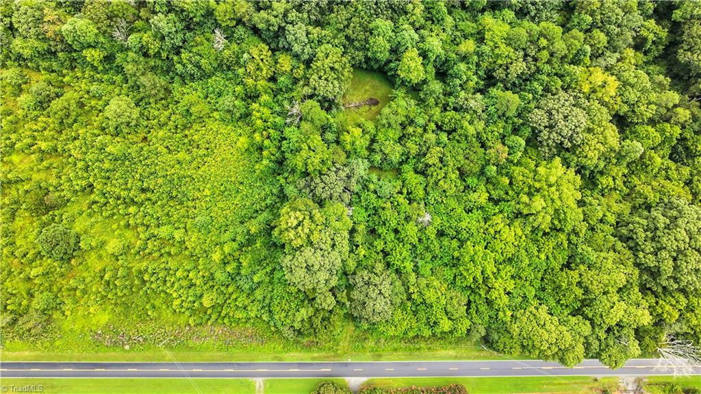 5438 Wild Turkey Road Whitsett, NC 27377 - Photo 10 of 22