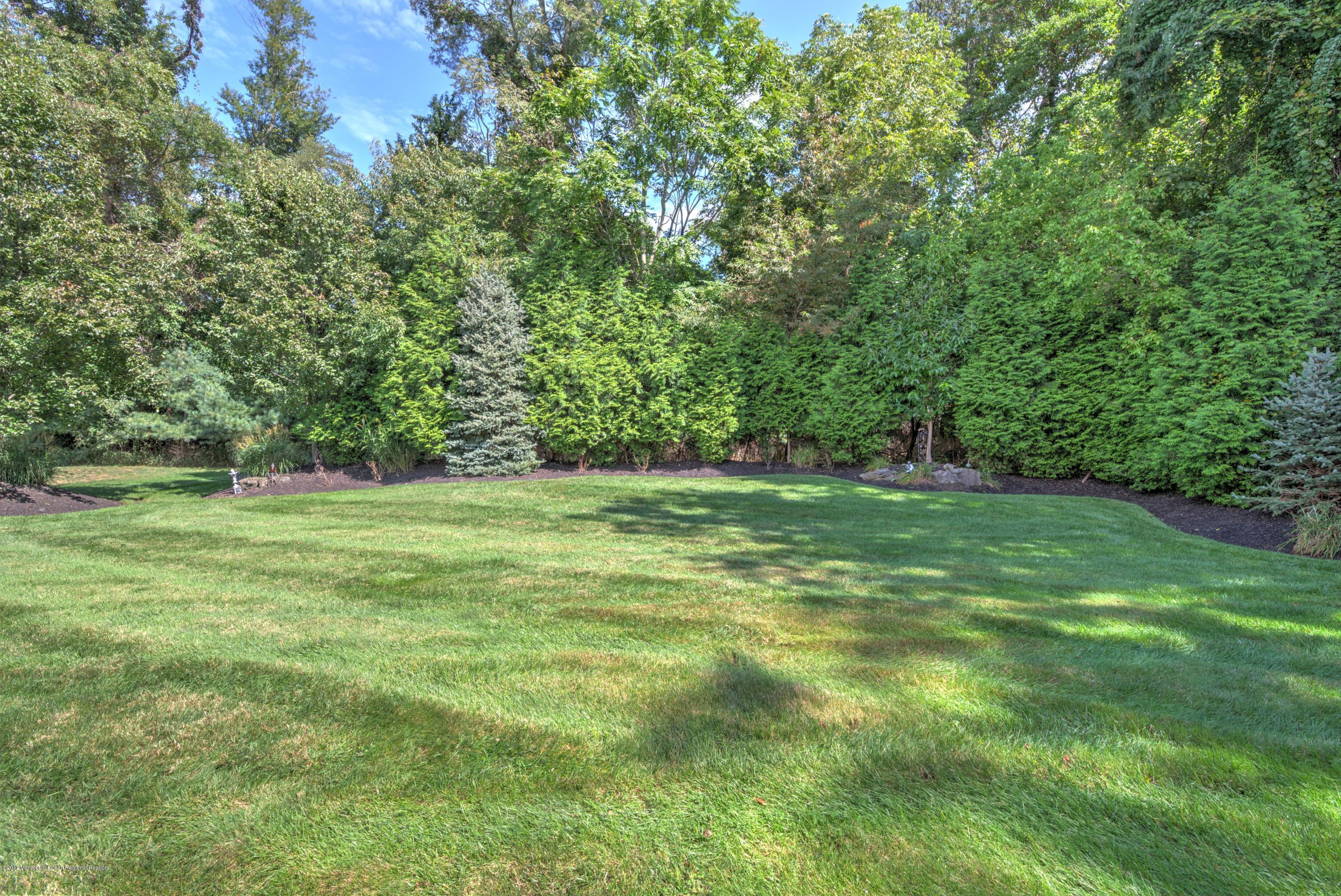 136 Millhurst Road Manalapan, NJ 07726 - Photo 43 of 44 043_BACK YARD