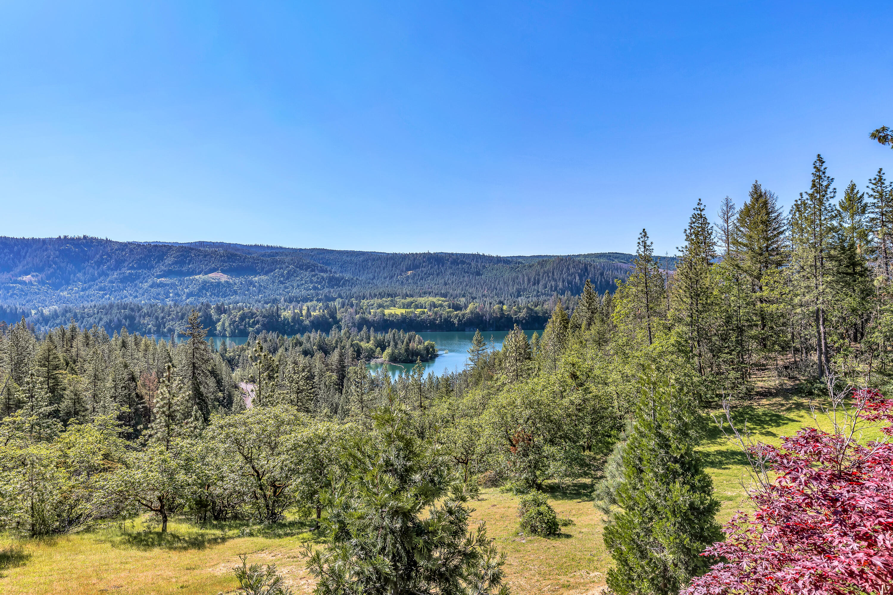 1306 Lewis Road Prospect, OR 97536 - Photo 39 of 66 9R9A9675